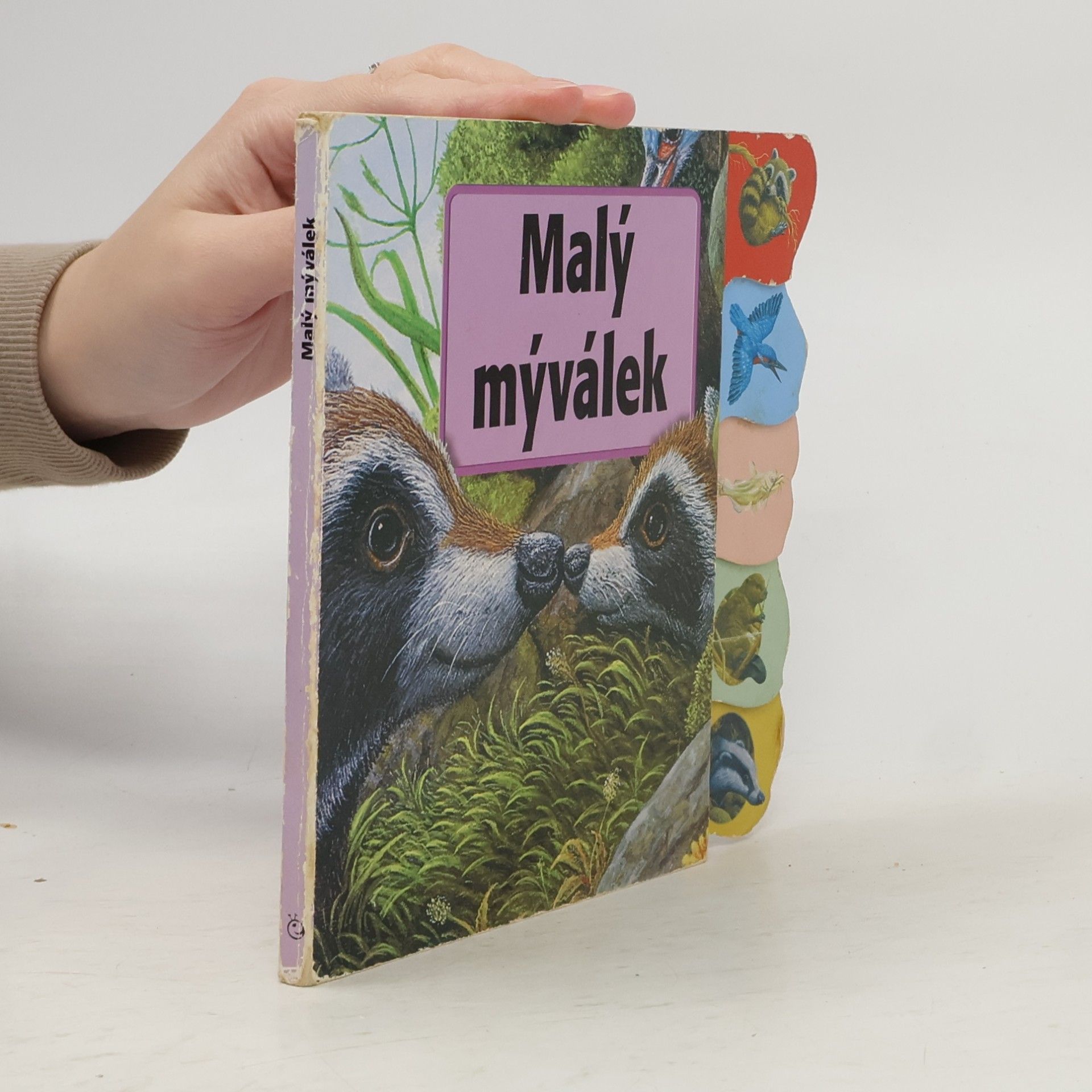 Malý mýválek