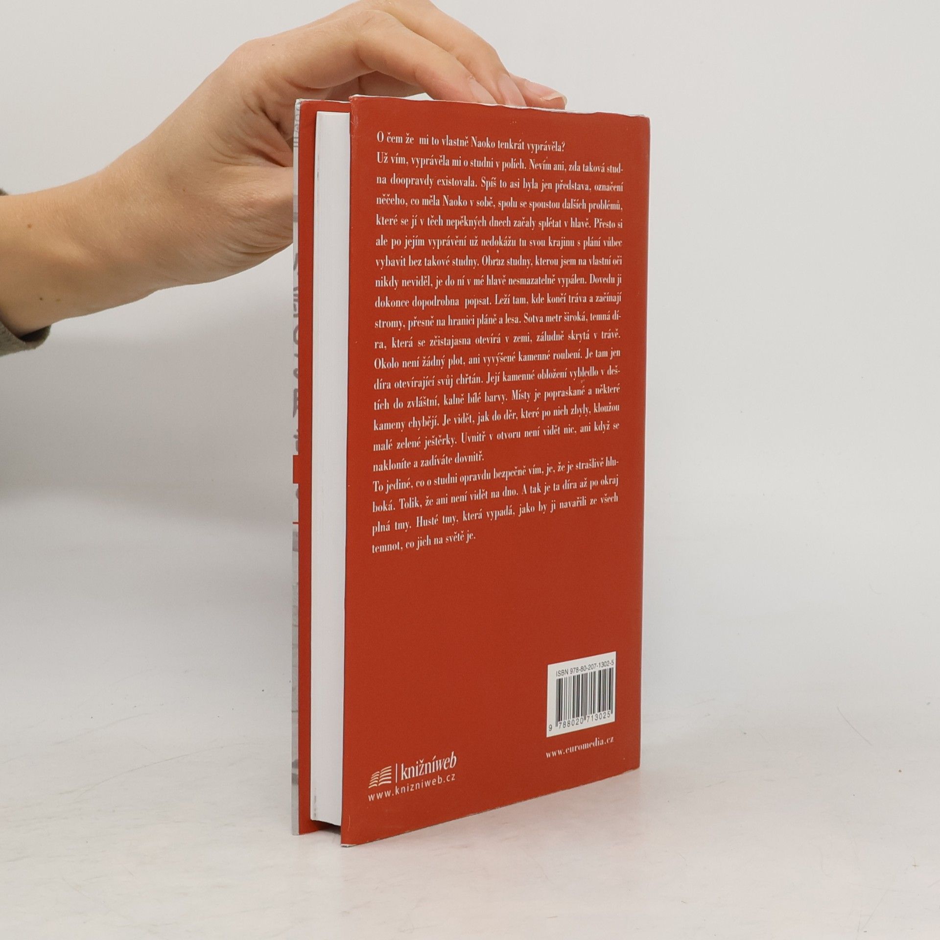 Haruki Murakami Norské dřevo