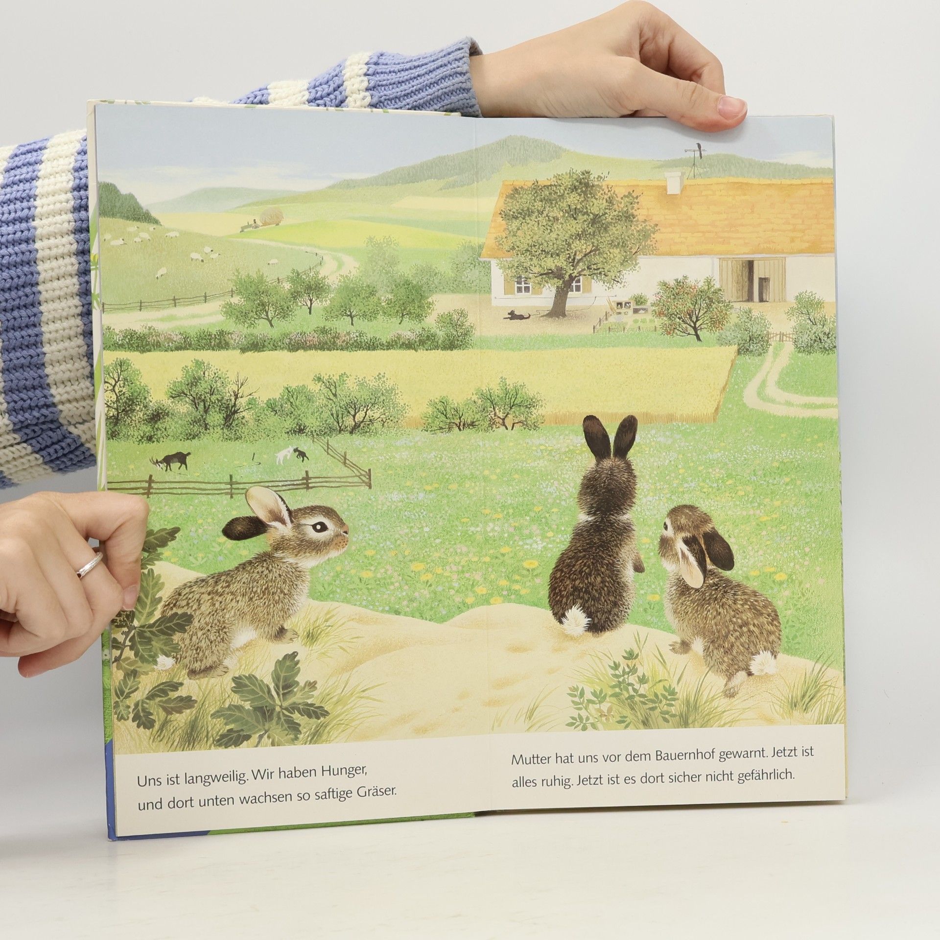 Gerda Muller Ich bin das kleine Kaninchen