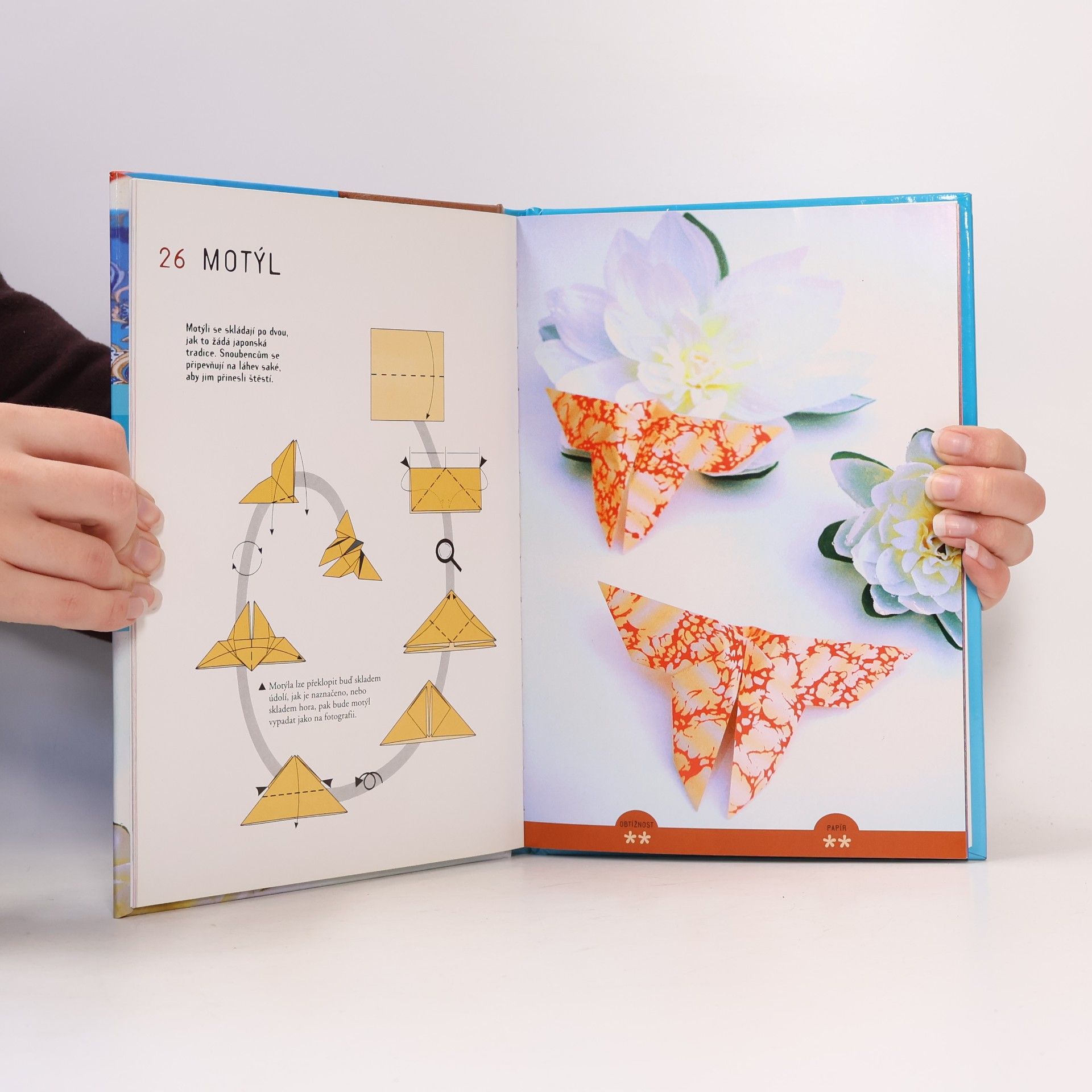 Amandine Dardenne Origami : skládání z papíru
