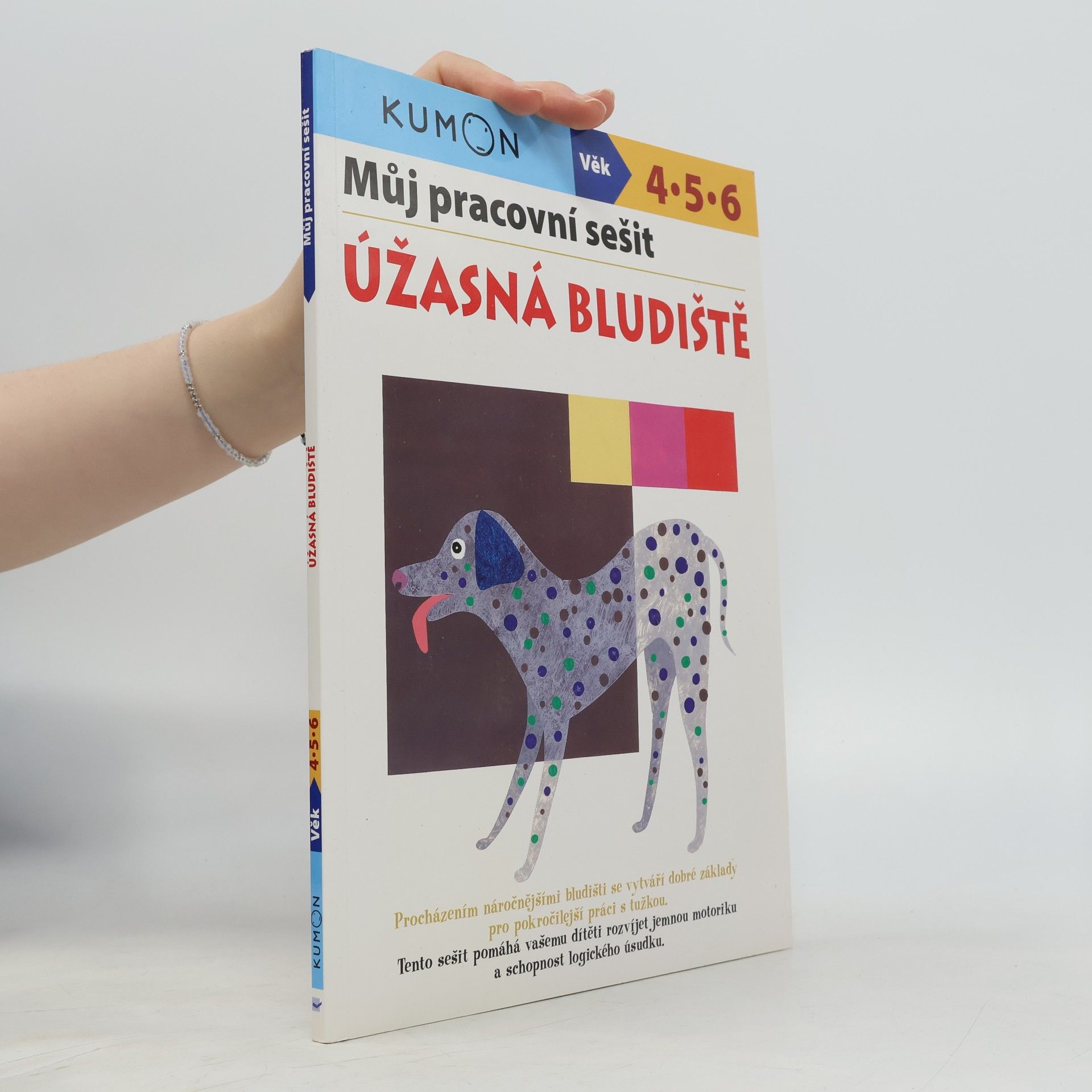 Toshihiki Karakido Můj pracovní sešit: Úžasná bludiště