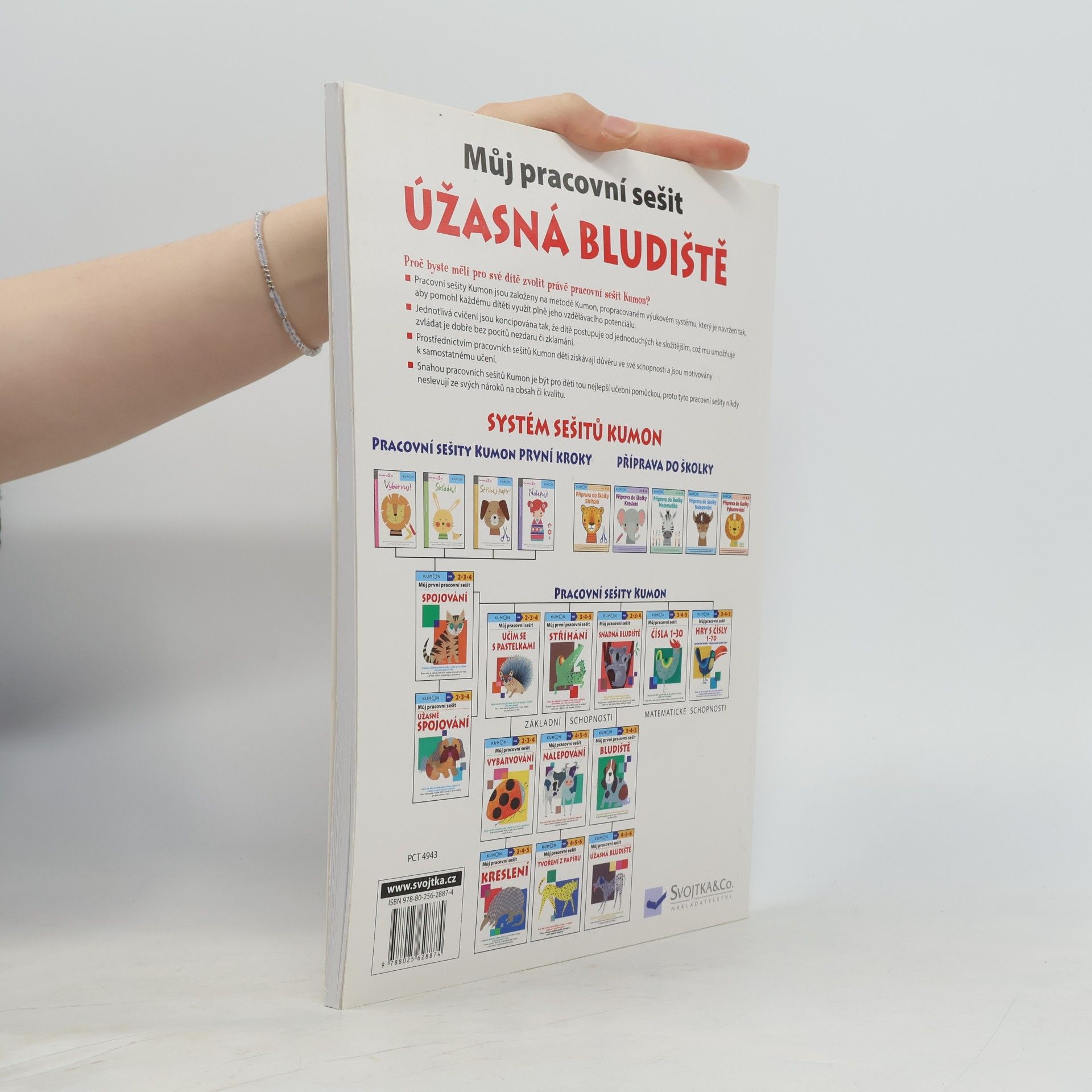 Toshihiki Karakido Můj pracovní sešit: Úžasná bludiště