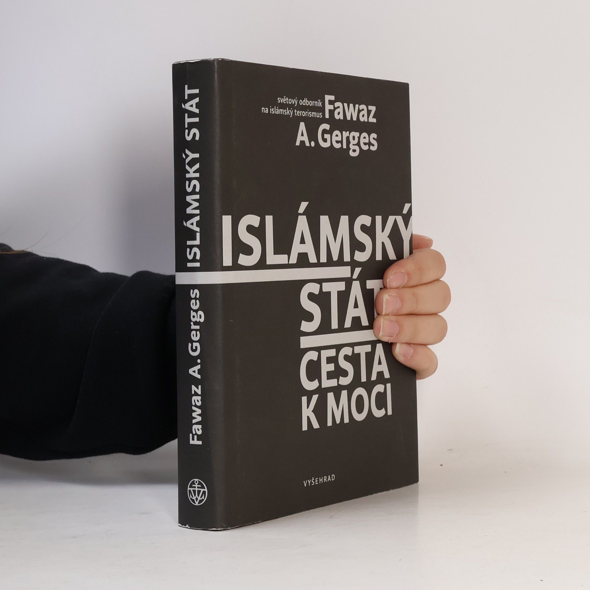 Islámský stát : cesta k moci