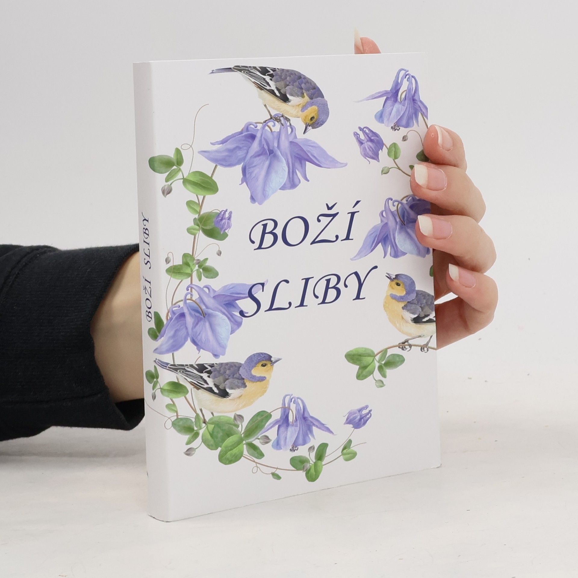 Kolektiv autorů Boží sliby