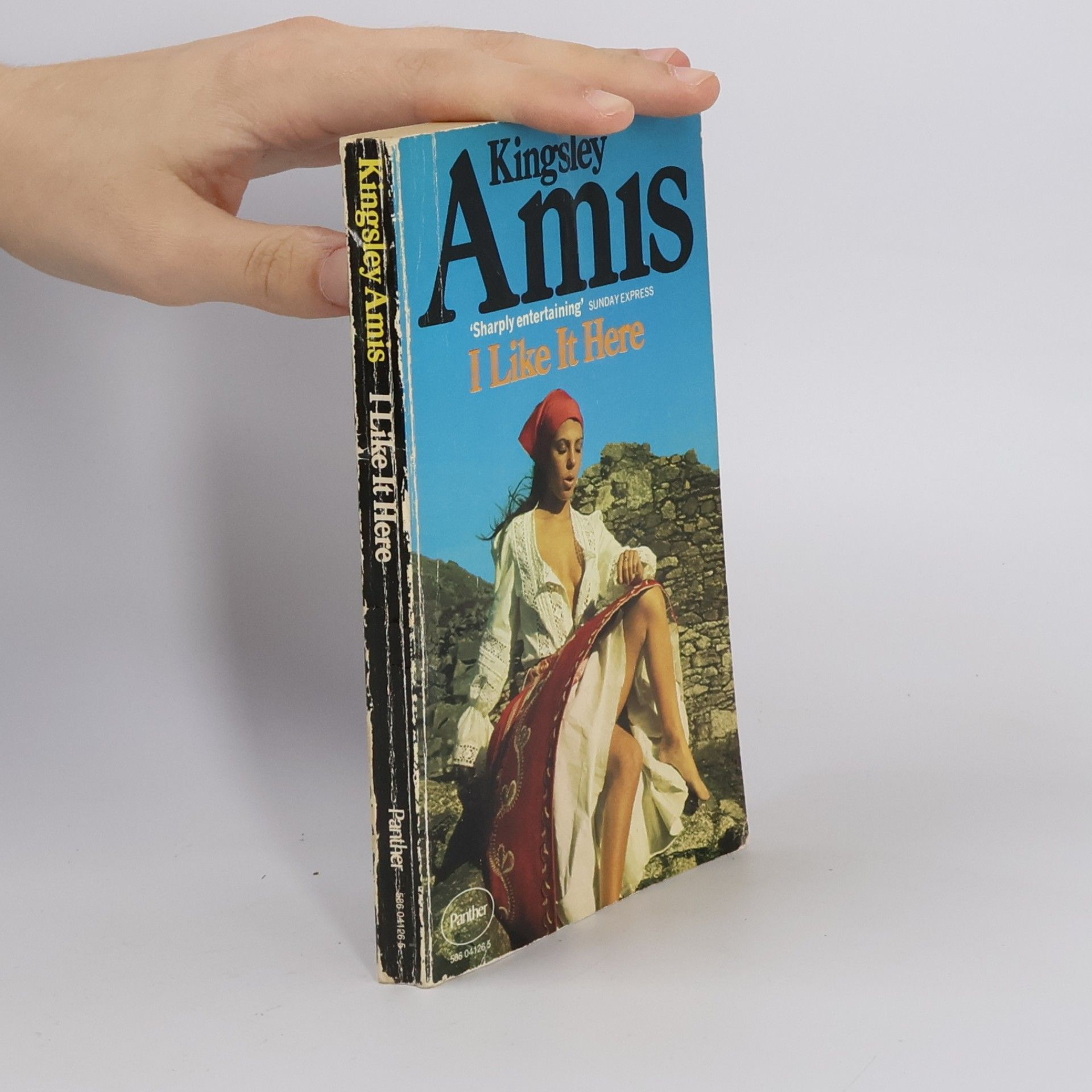 Kingsley Amis I Like It Here