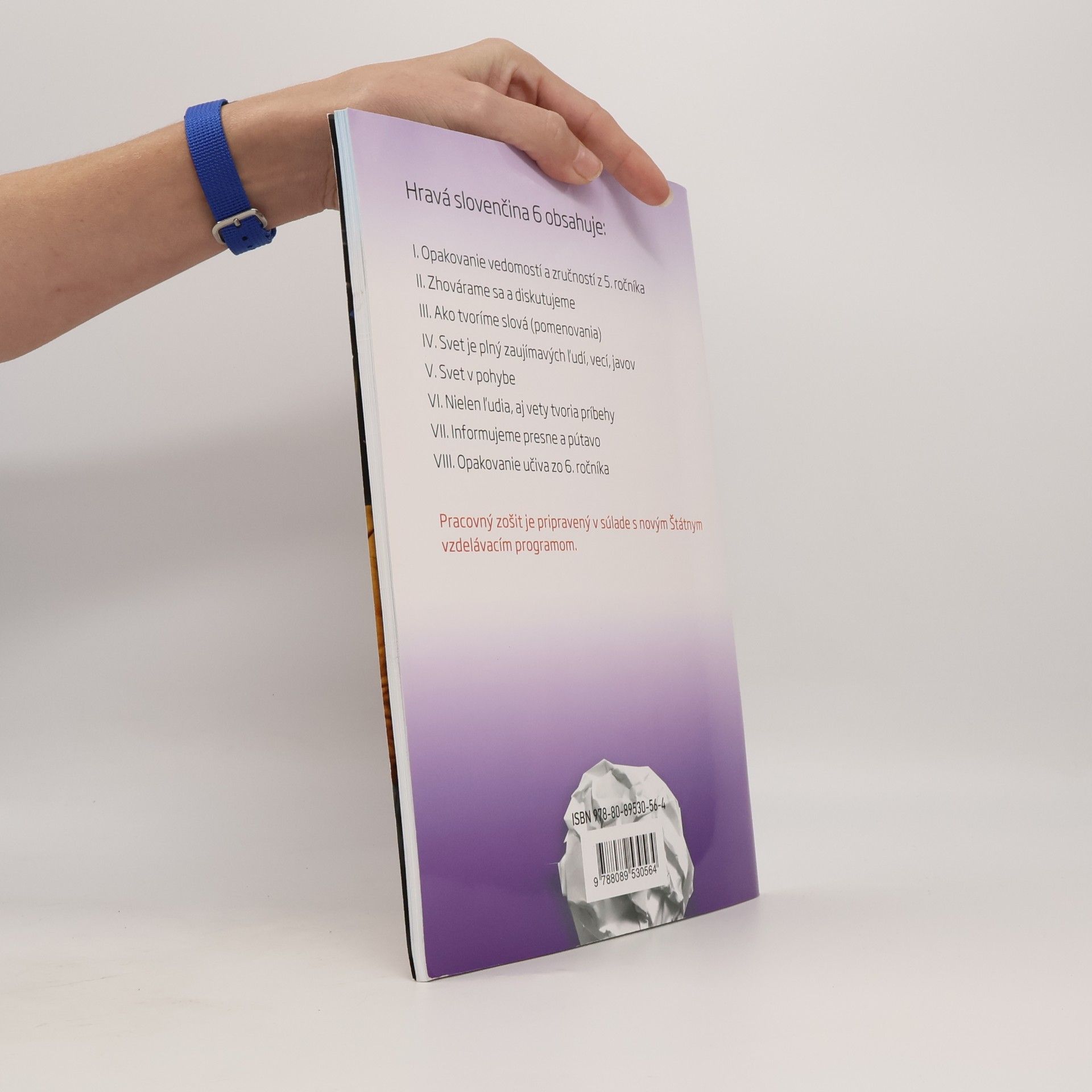 Autorenkollektiv Hravá slovenčina 6 - pracovný zošit