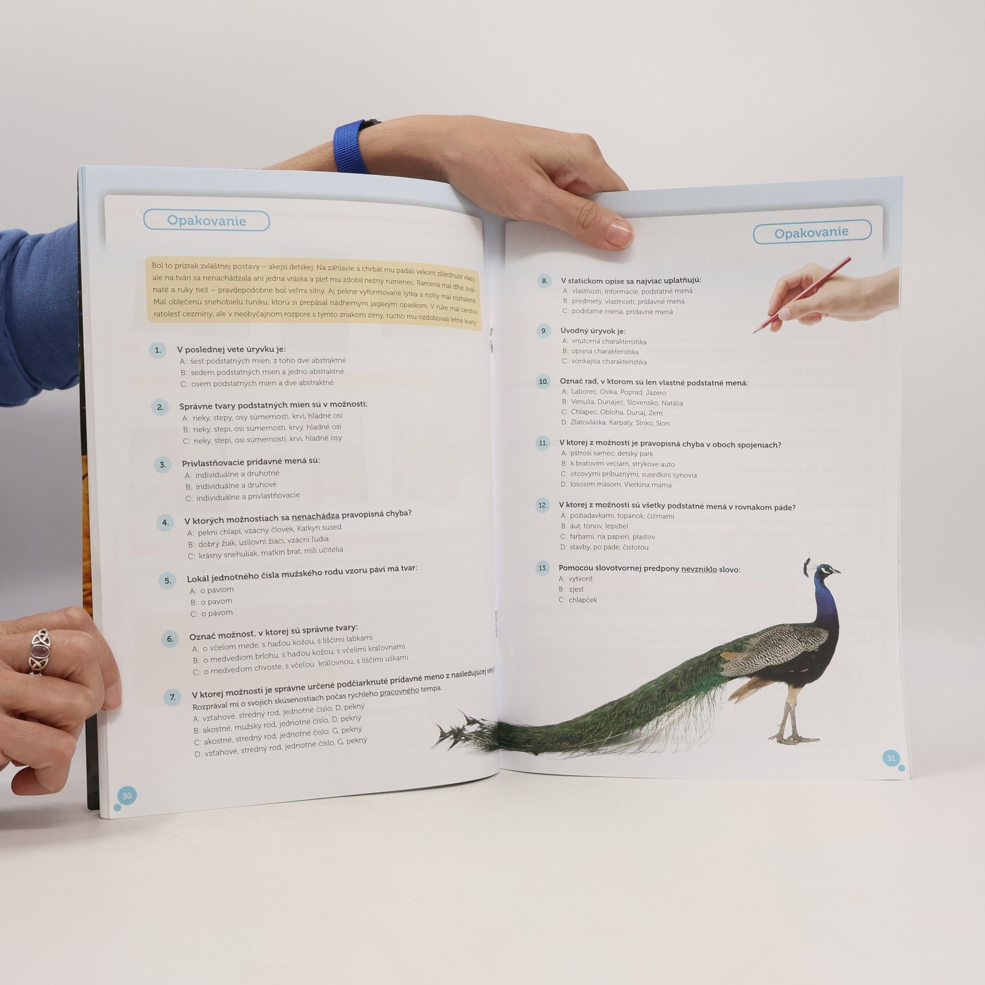 Autorenkollektiv Hravá slovenčina 6 - pracovný zošit