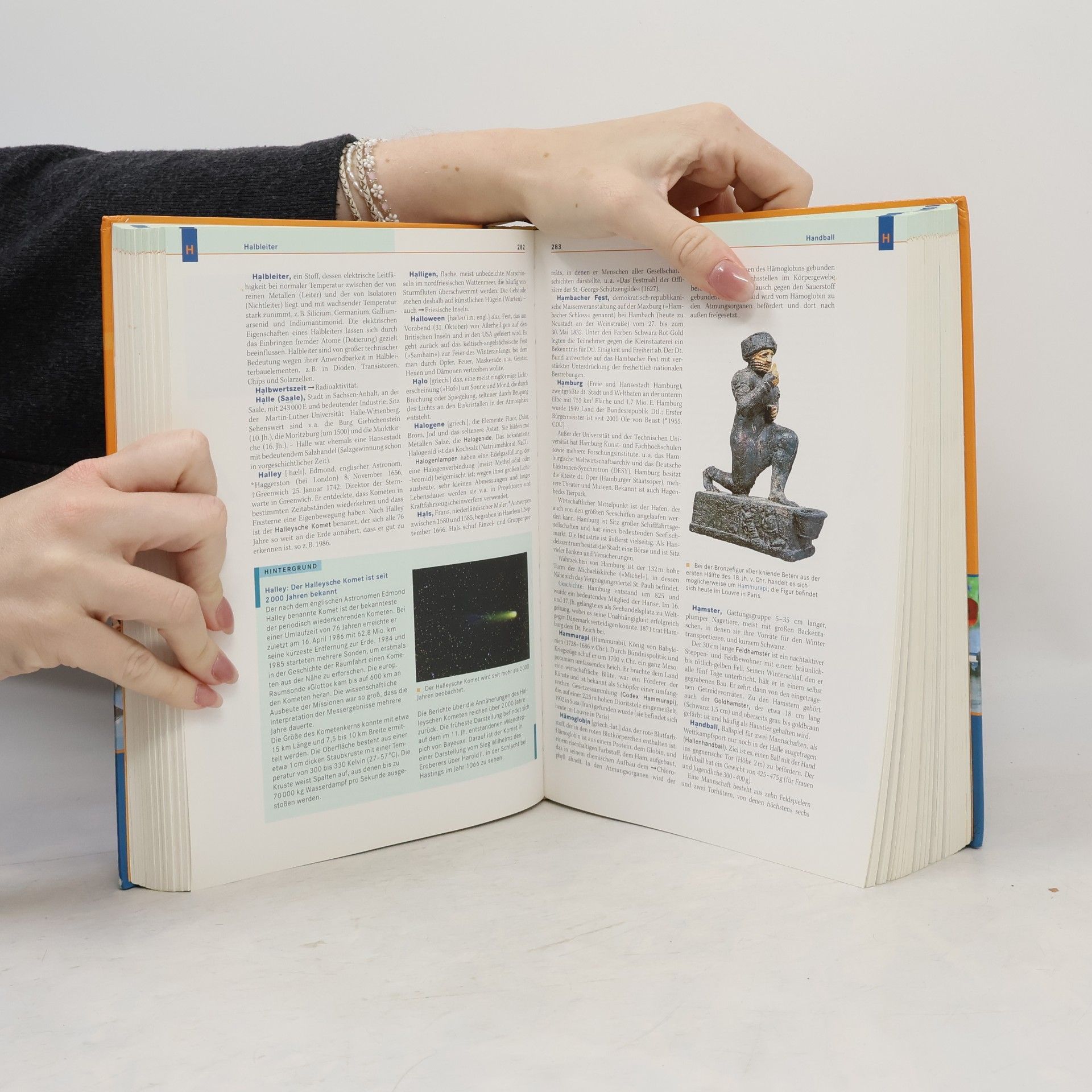 Nina Schiefelbein Der Jugend-Brockhaus