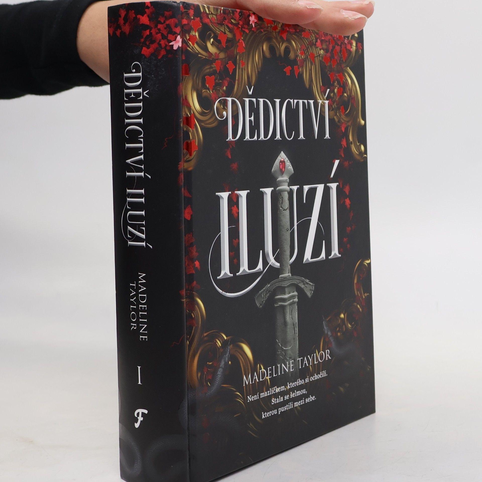 Dědictví iluzí I