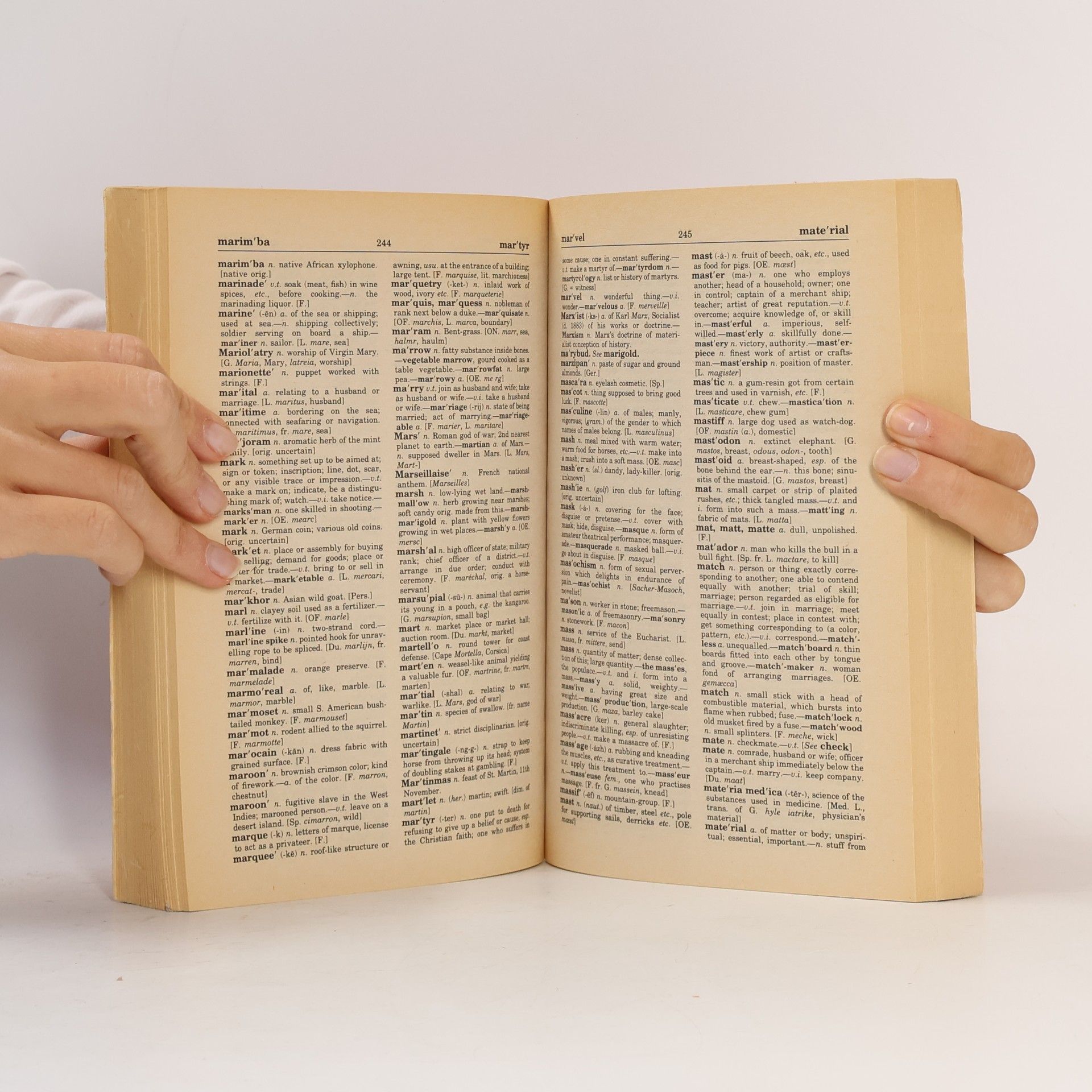 Kolektiv autorů Webster's New Compact Format Dictionary