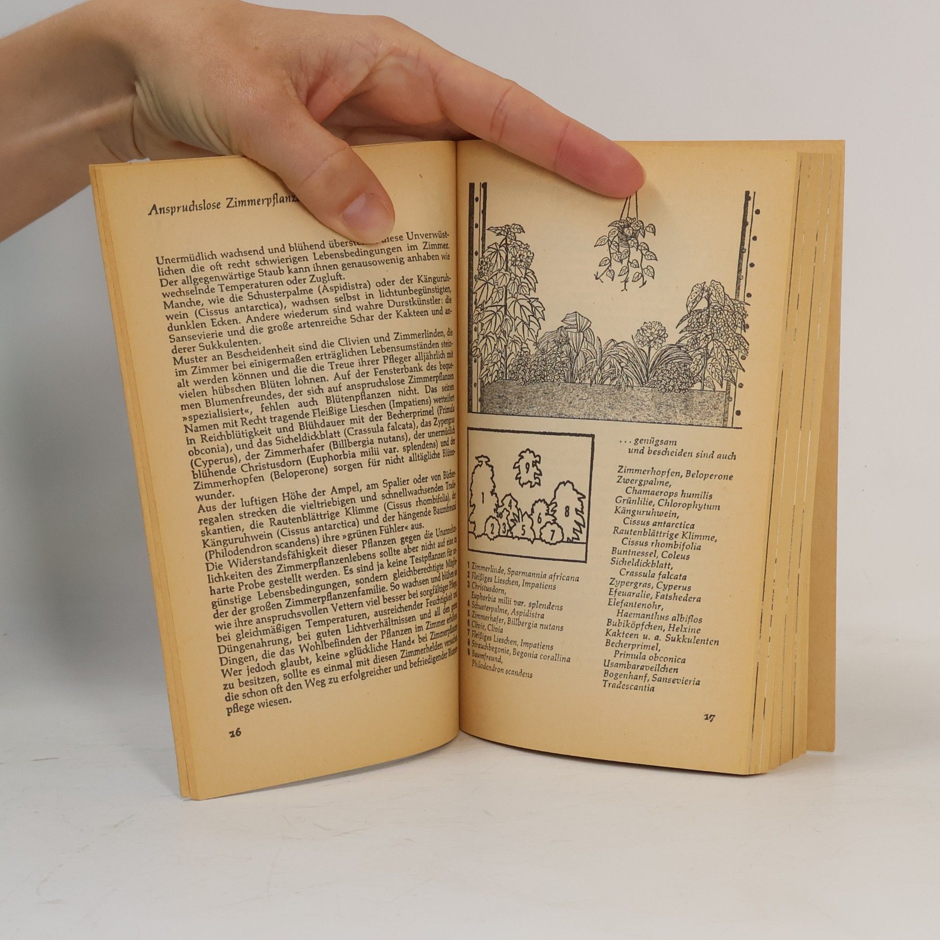 Karlheinz Jacobi Das Heyne-Buch der Zimmerpflanzen