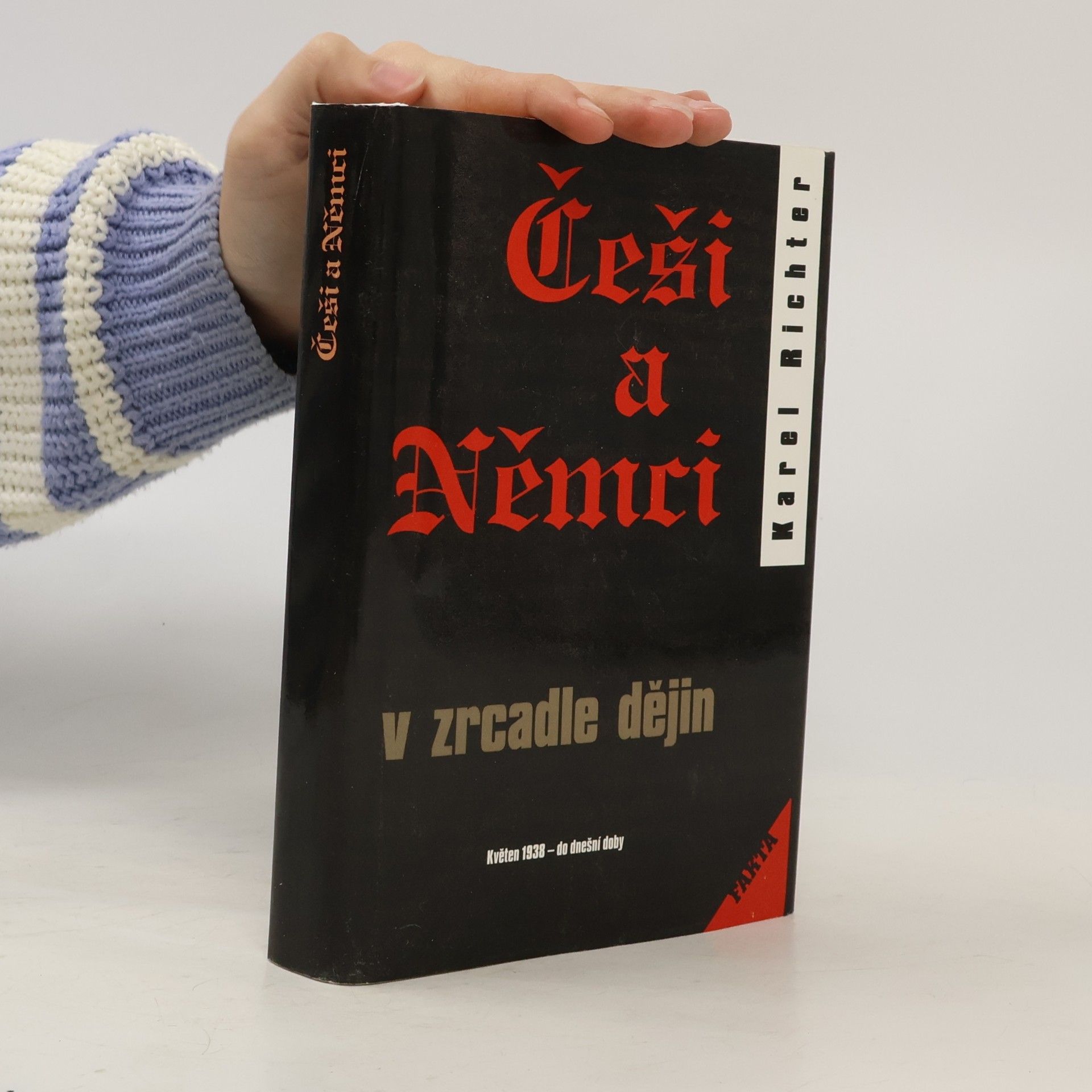 Karel Richter Češi a Němci v zrcadle dějin. Svazek 2