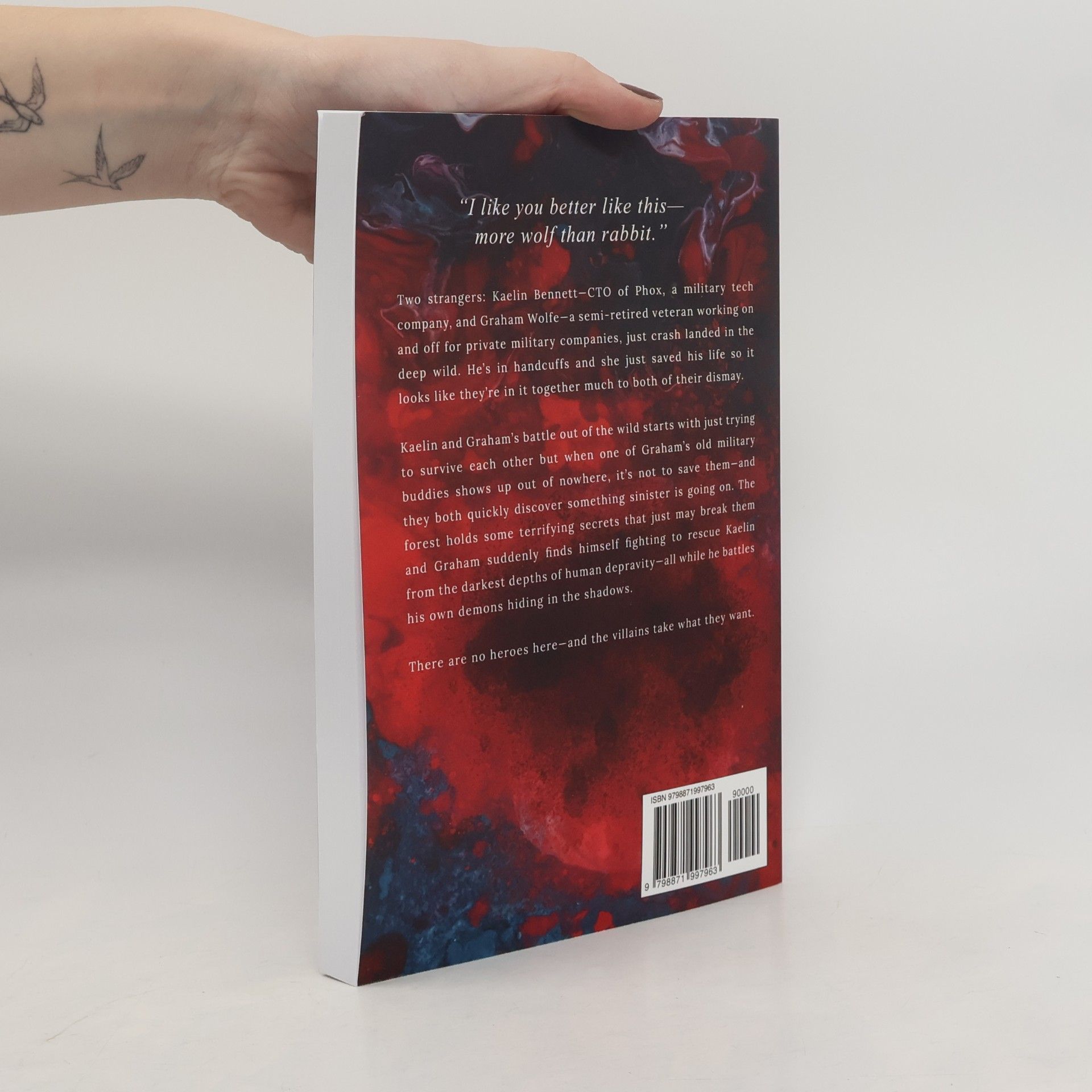Rivers, Devyn Red Rabbit: You Shatter So Beautifully (Red Rabbit Series, Band 1)