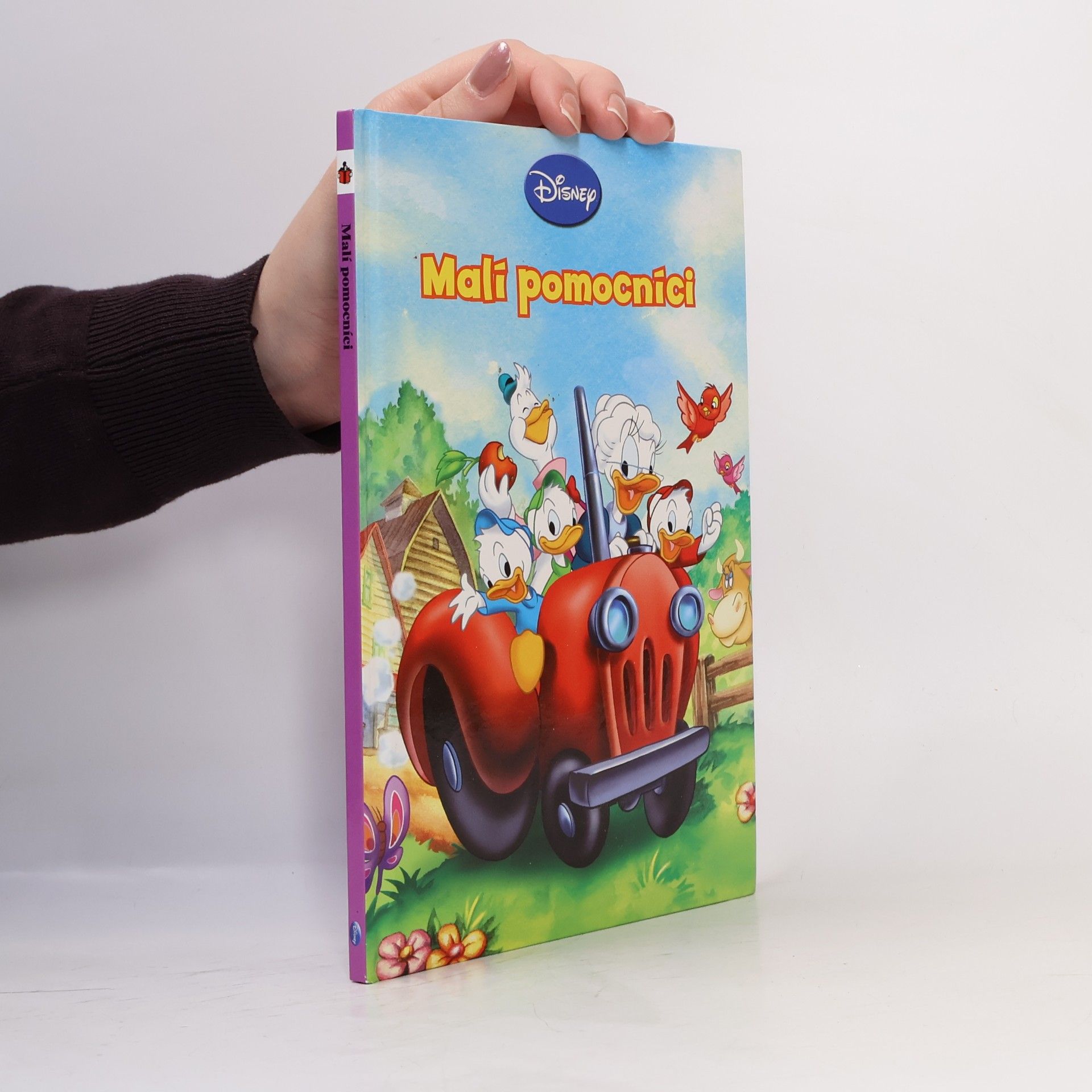 Autorenkollektiv Malí pomocníci