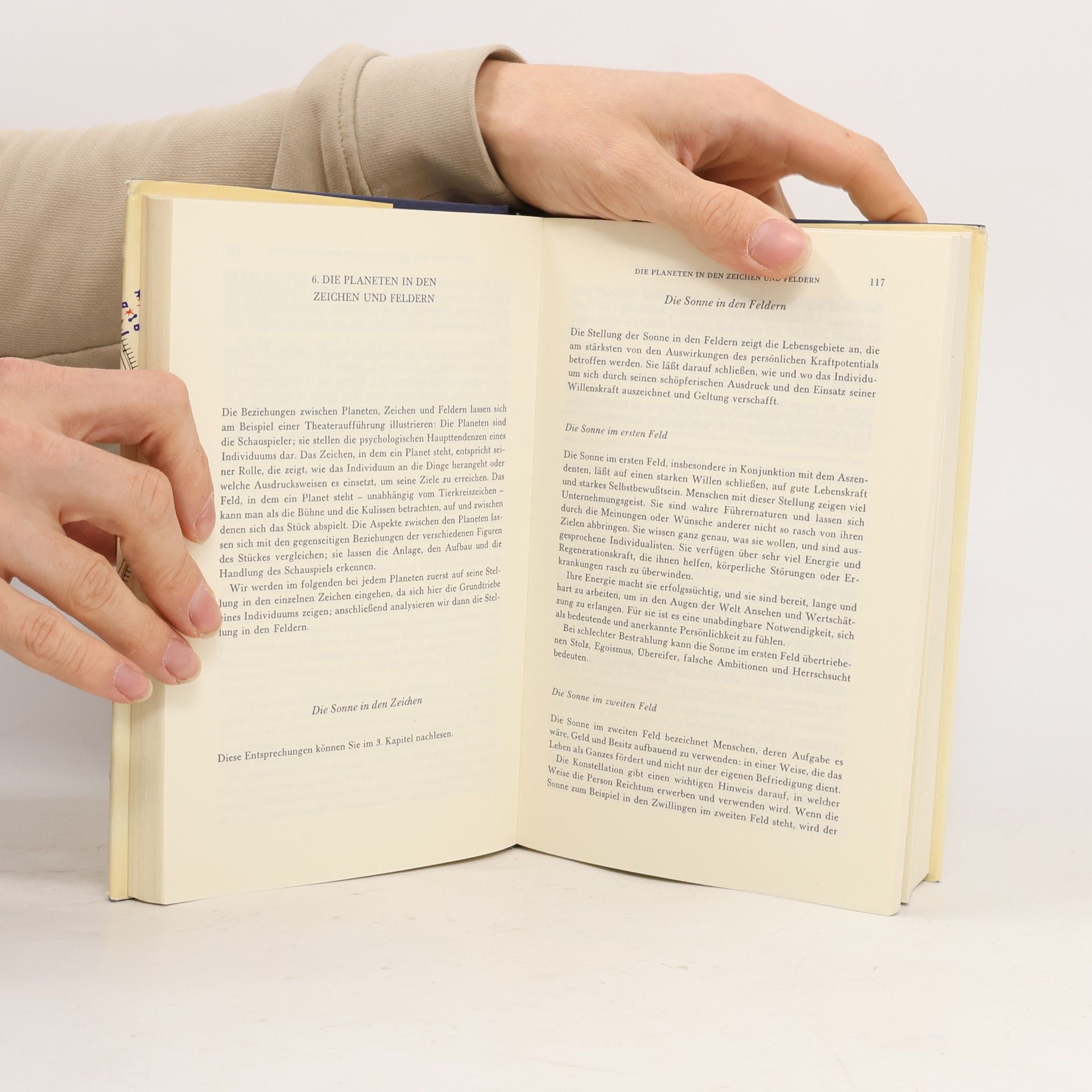 Frances Sakoian Das grosse Lehrbuch der Astrologie