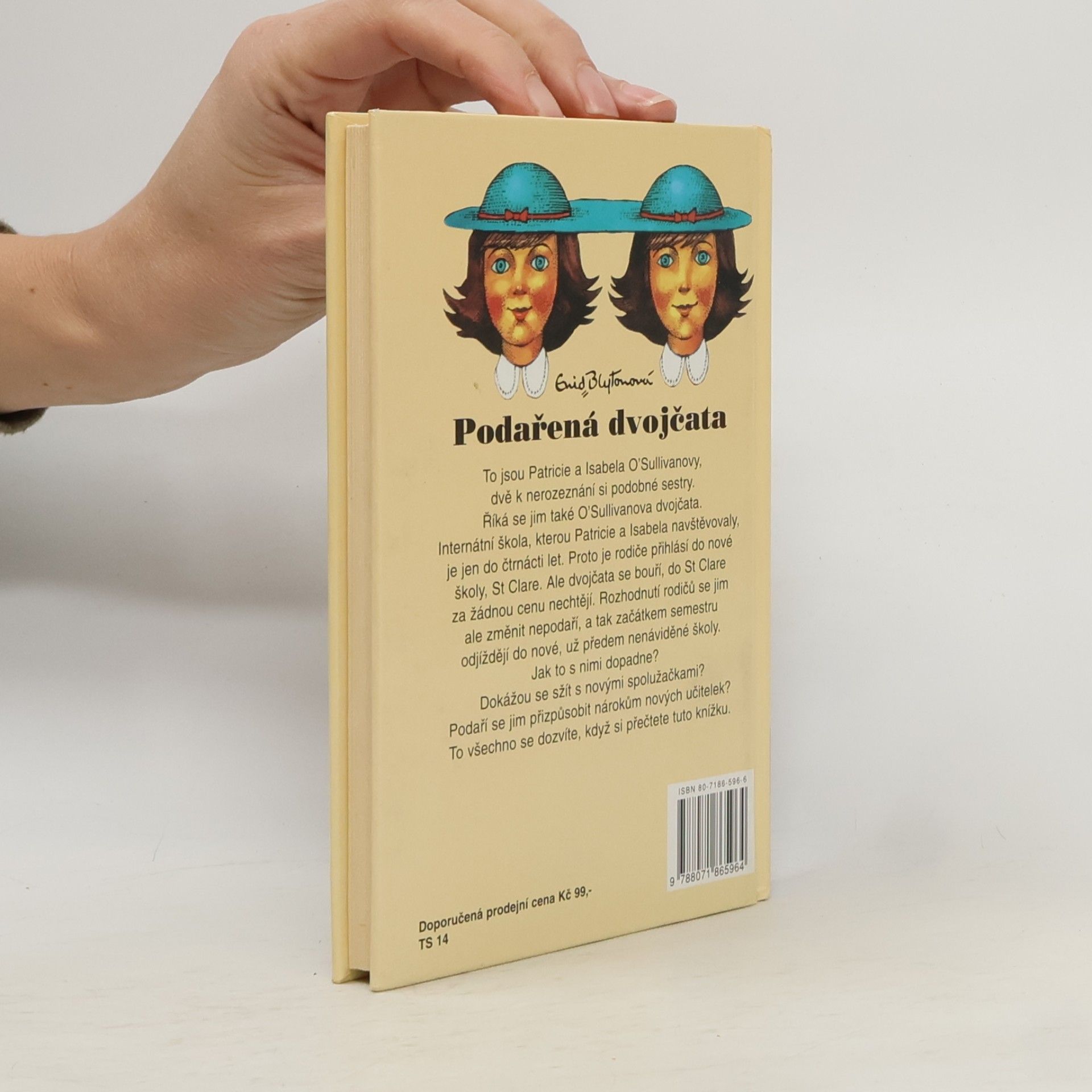 Enid Blyton Podařená dvojčata
