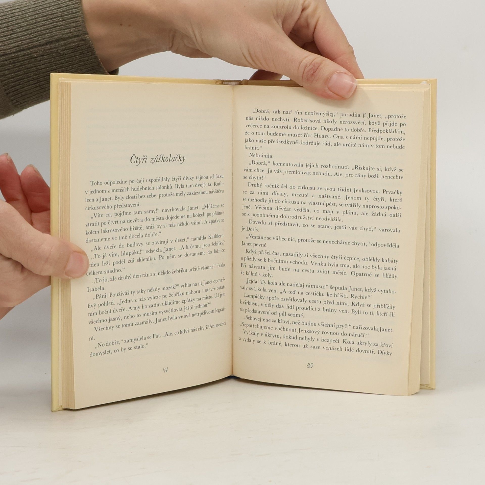 Enid Blyton Podařená dvojčata