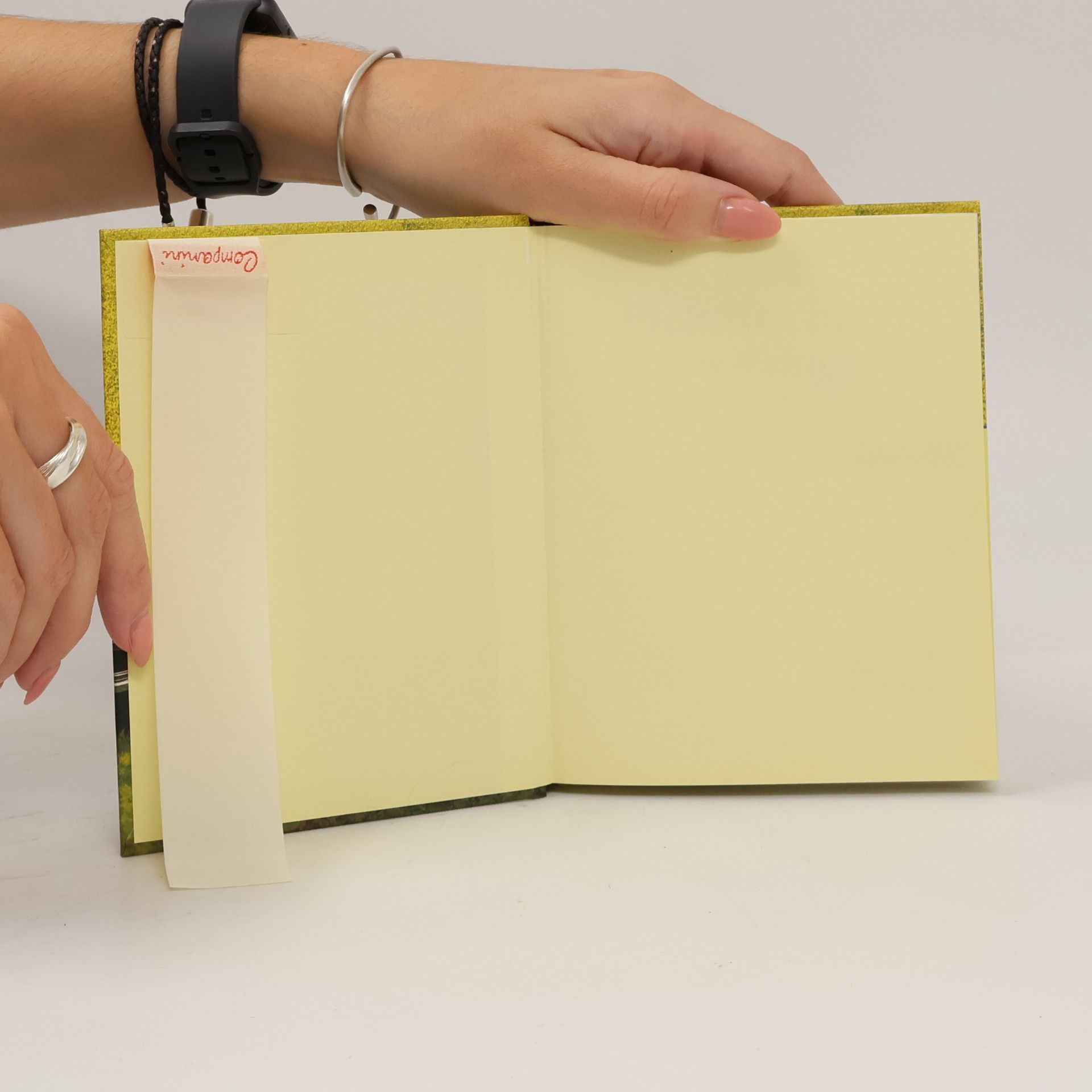 Susanne Esders Das Picknickbuch für das Ruhrgebiet