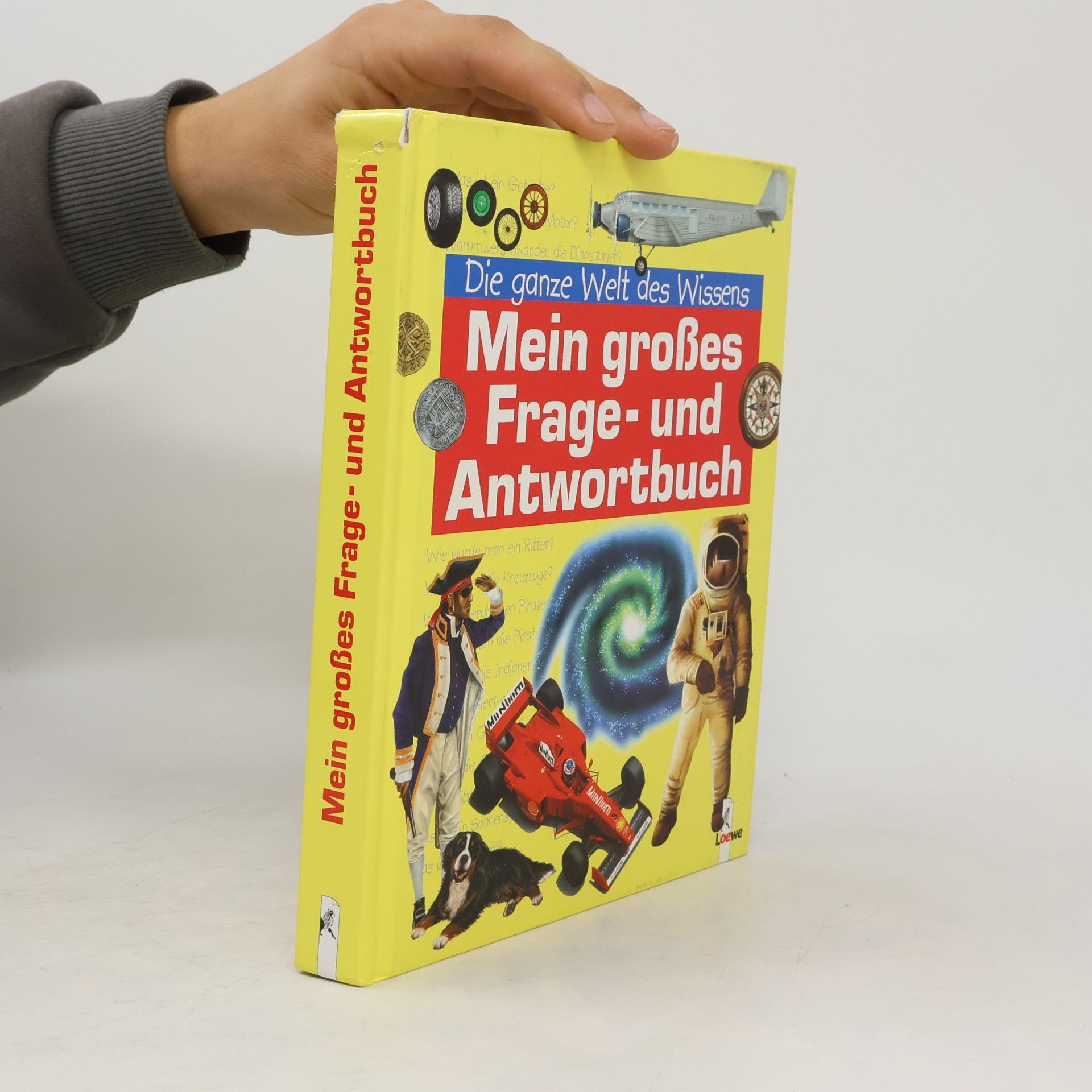 Kolektiv autorů Mein großes Frage- und Antwortbuch