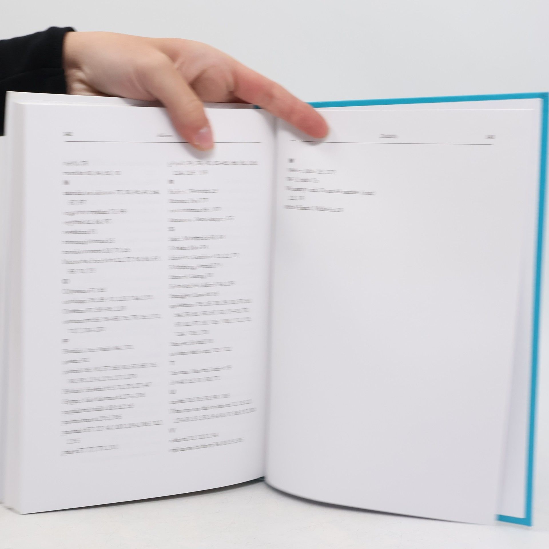 Various authors Adorno. Kritická teorie a negativní myšlení
