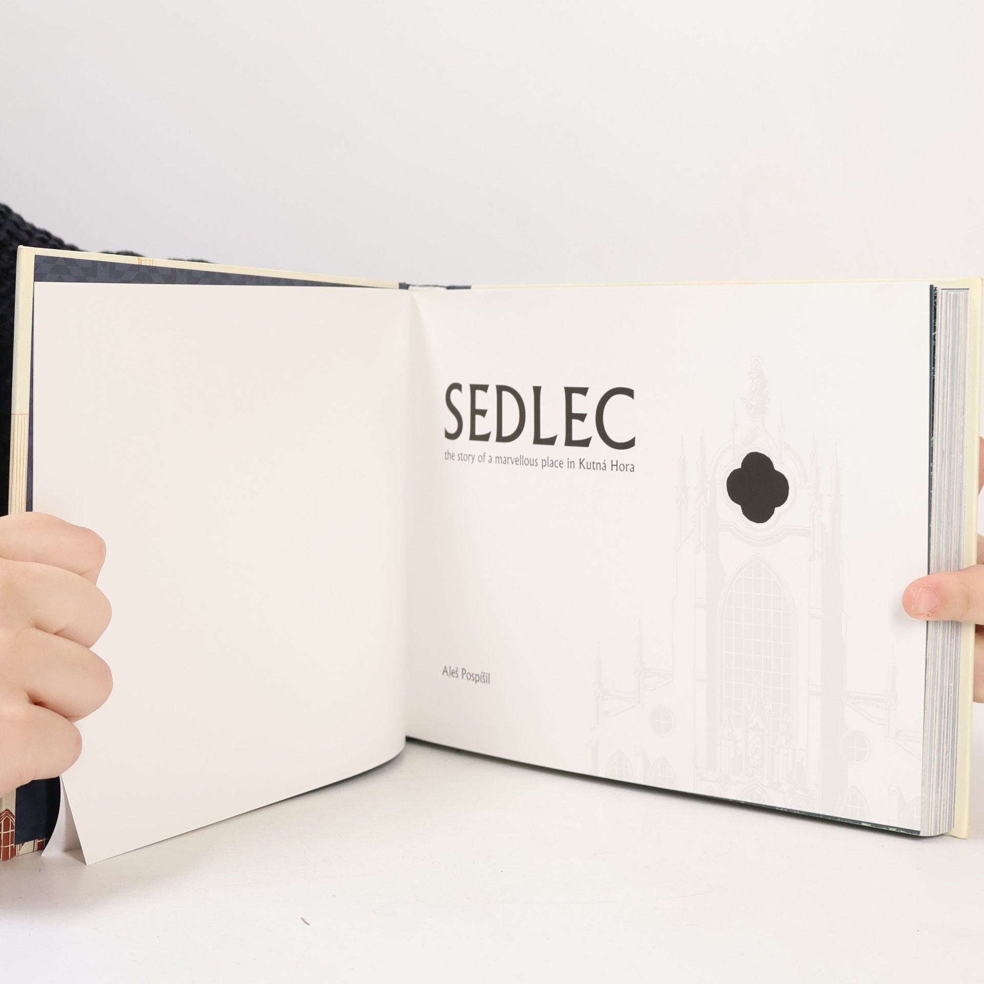 Aleš Pospíšil Sedlec