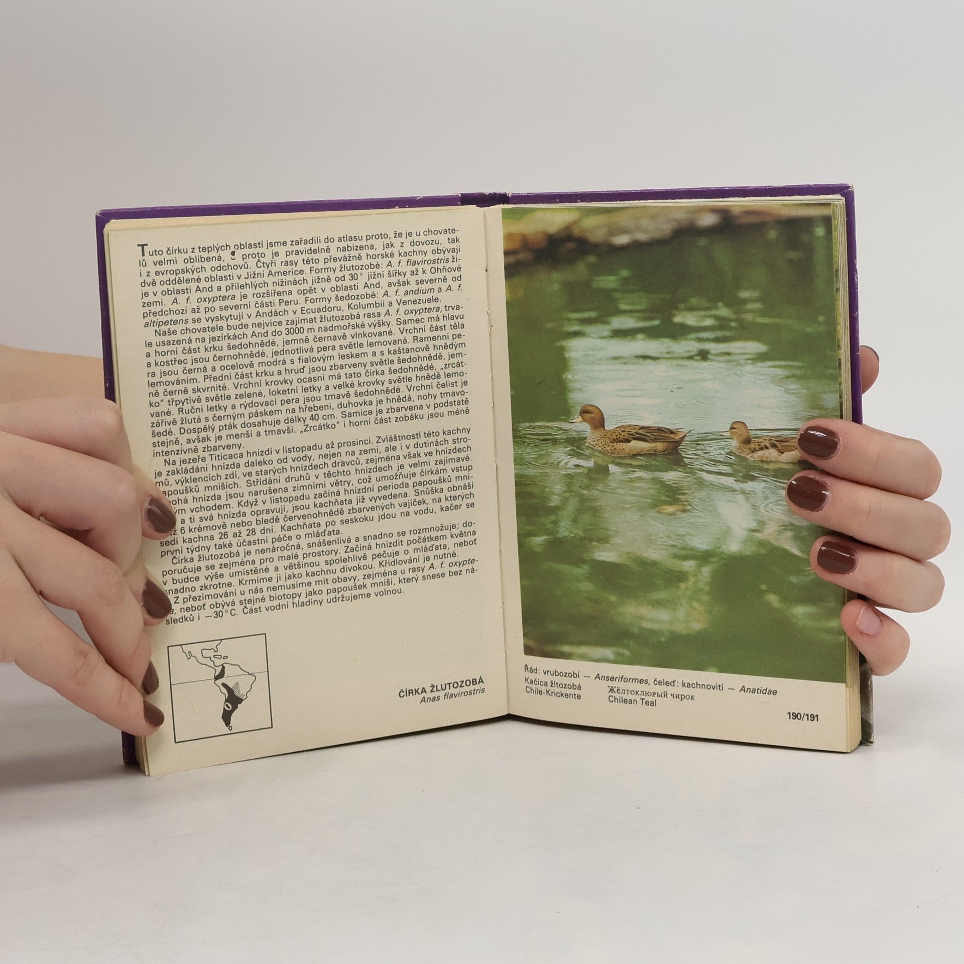 Zdeněk Veger Kapesní atlas okrasných ptáků