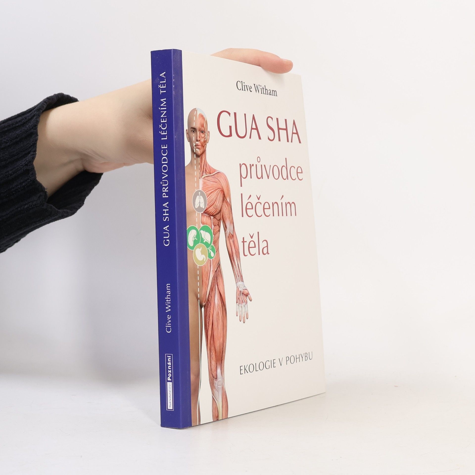 Gua sha: průvodce léčením těla, ekologie v pohybu