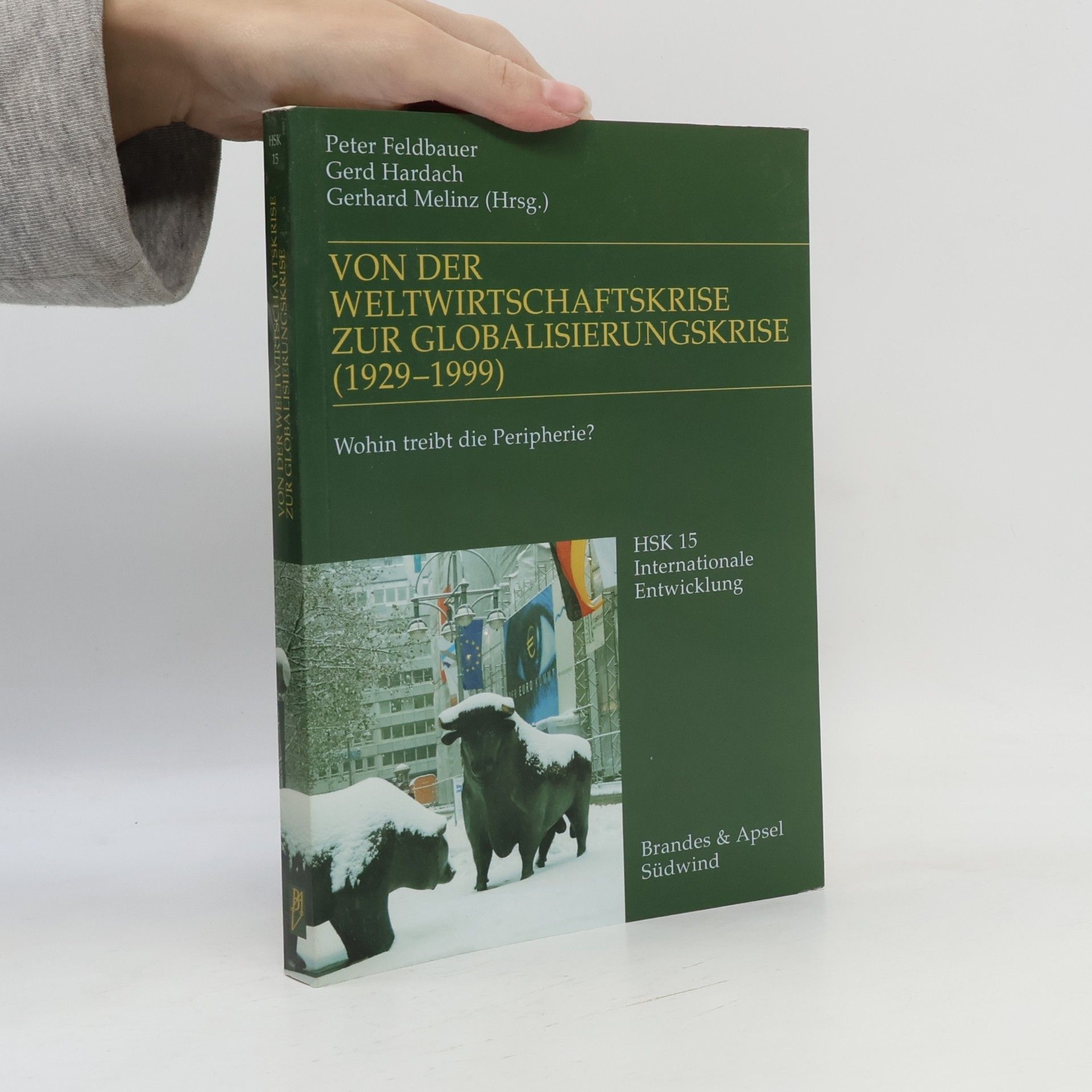 Von der Weltwirtschaftskrise zur Globalisierungskrise