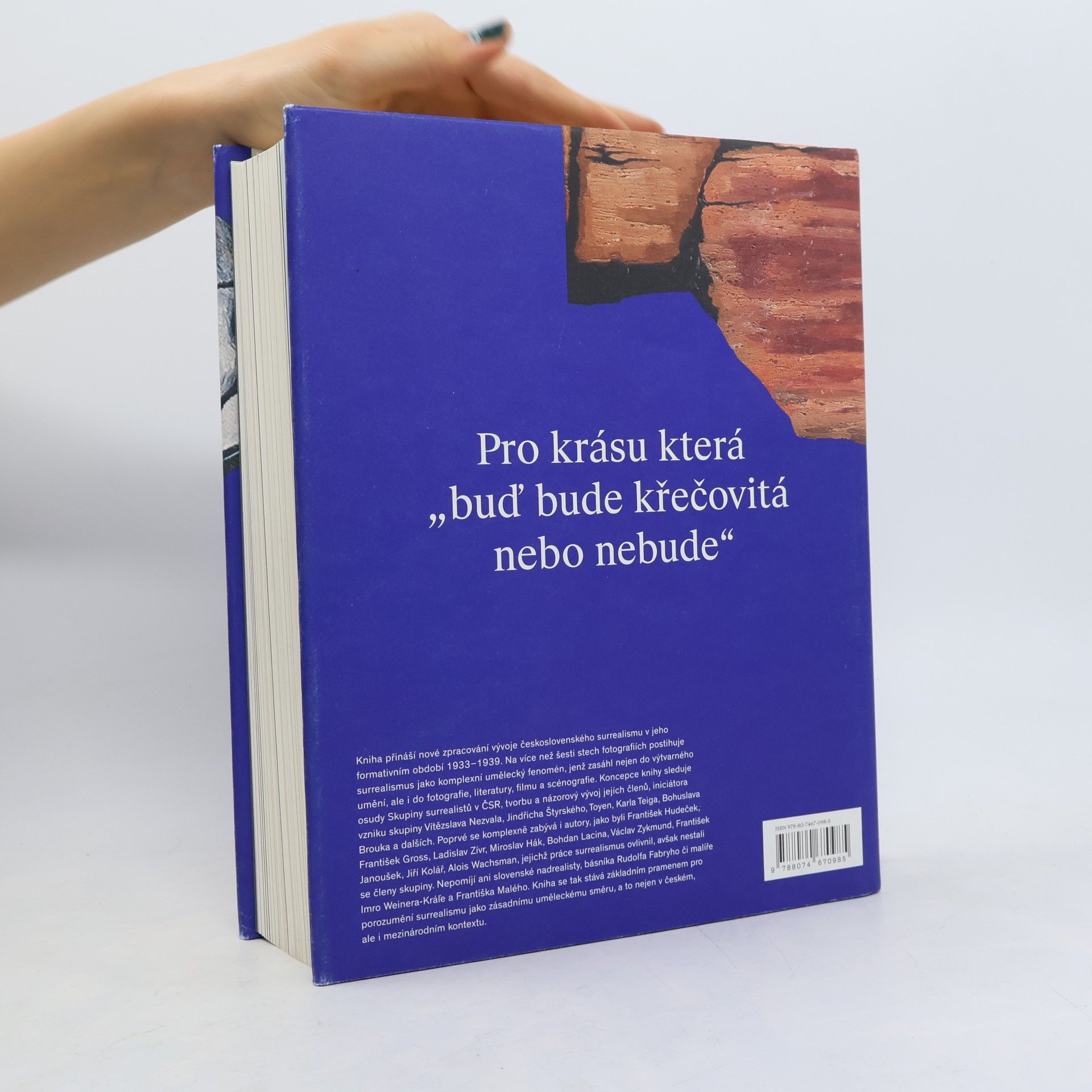 Various authors Krása bude křečovitá
