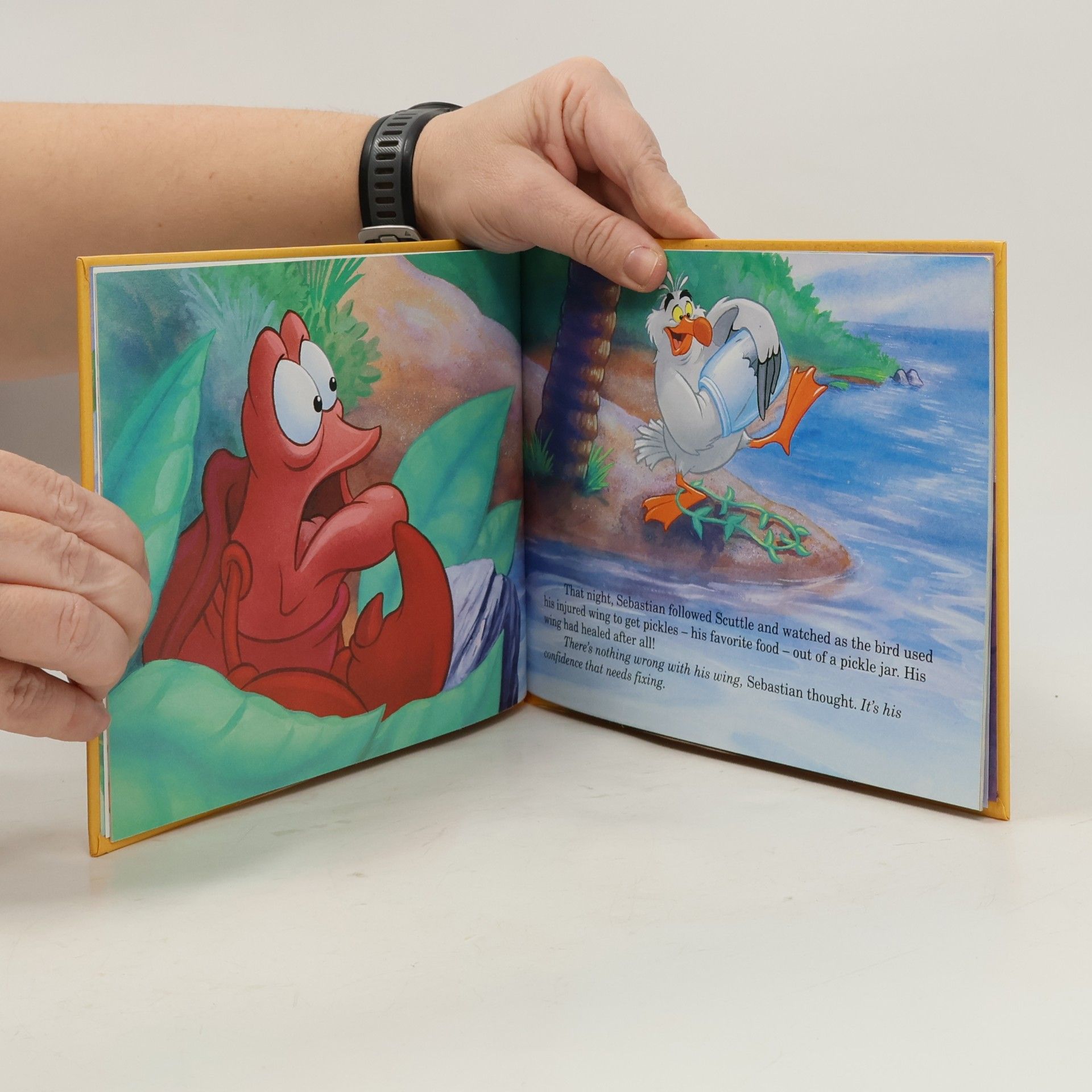 Walt Disney Company The Little Mermaid's Treasure Chest: Scuttle's Last Flight