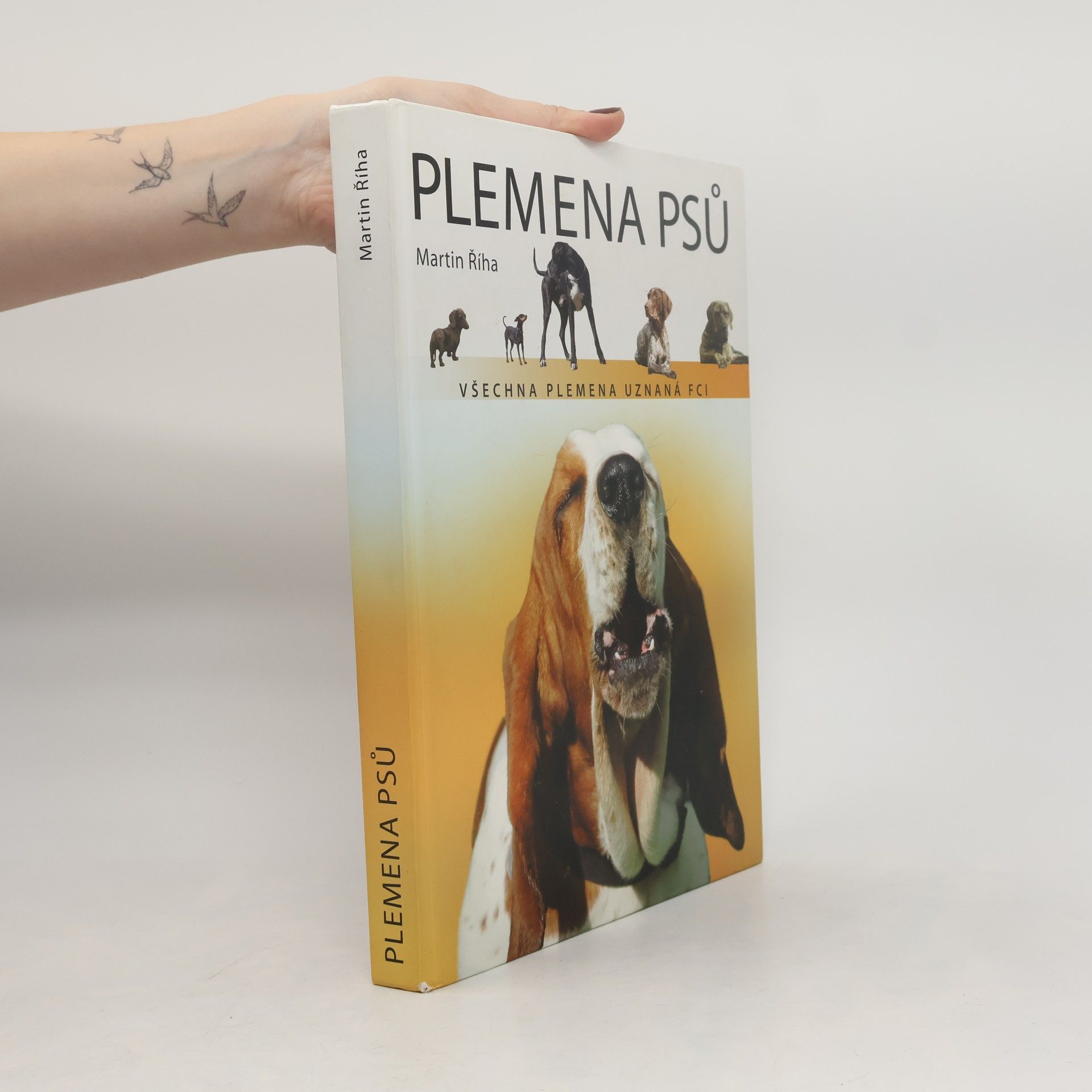 Plemena psů : všechna plemena uznaná FCI
