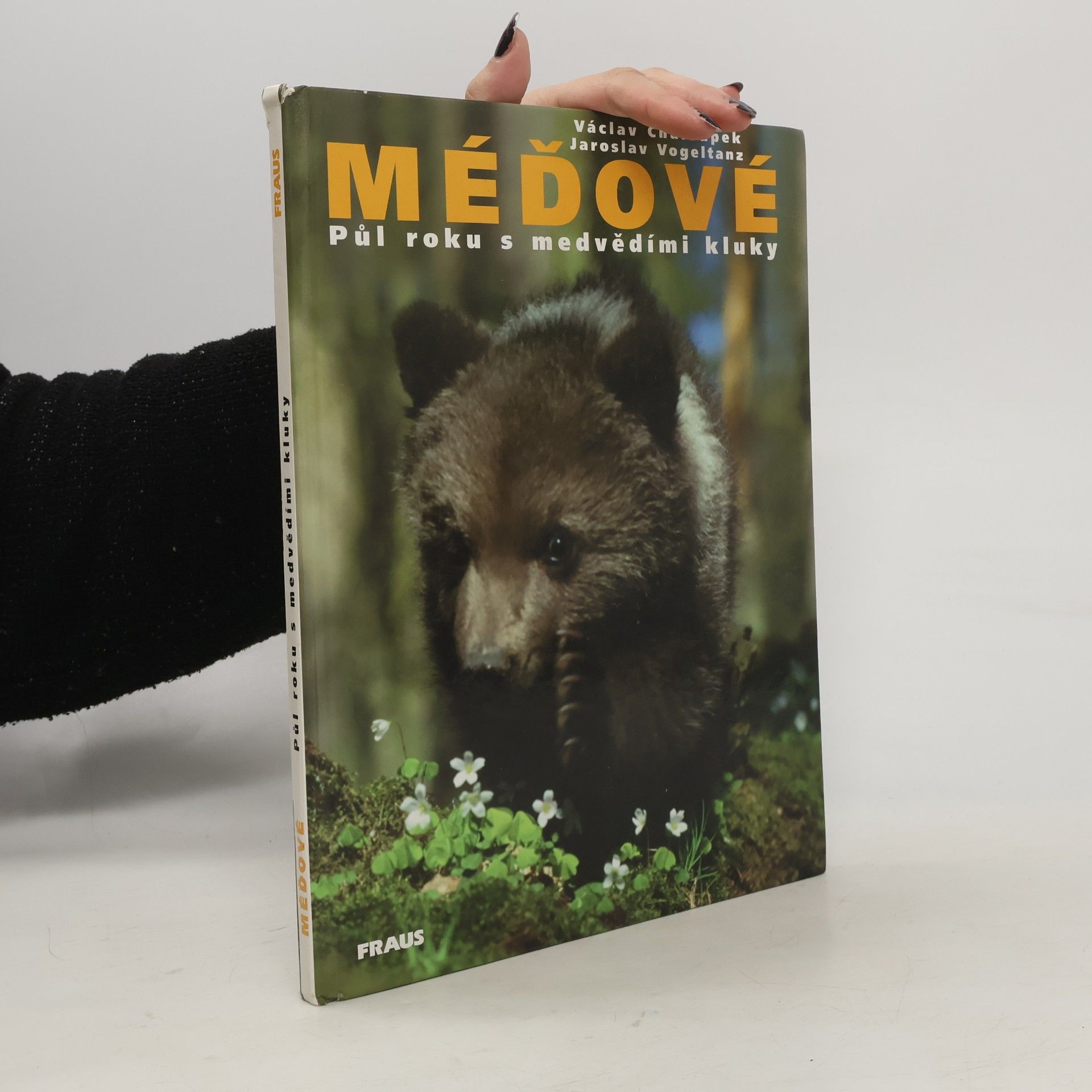 Méďové. Půl roku s medvědími kluky