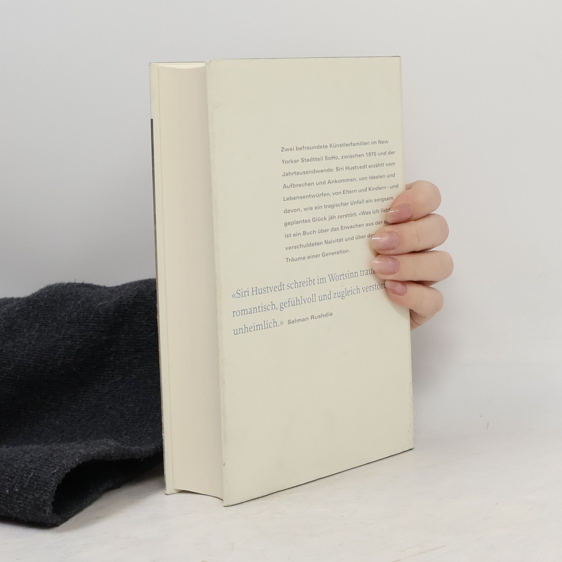 Siri Hustvedt Was ich liebte