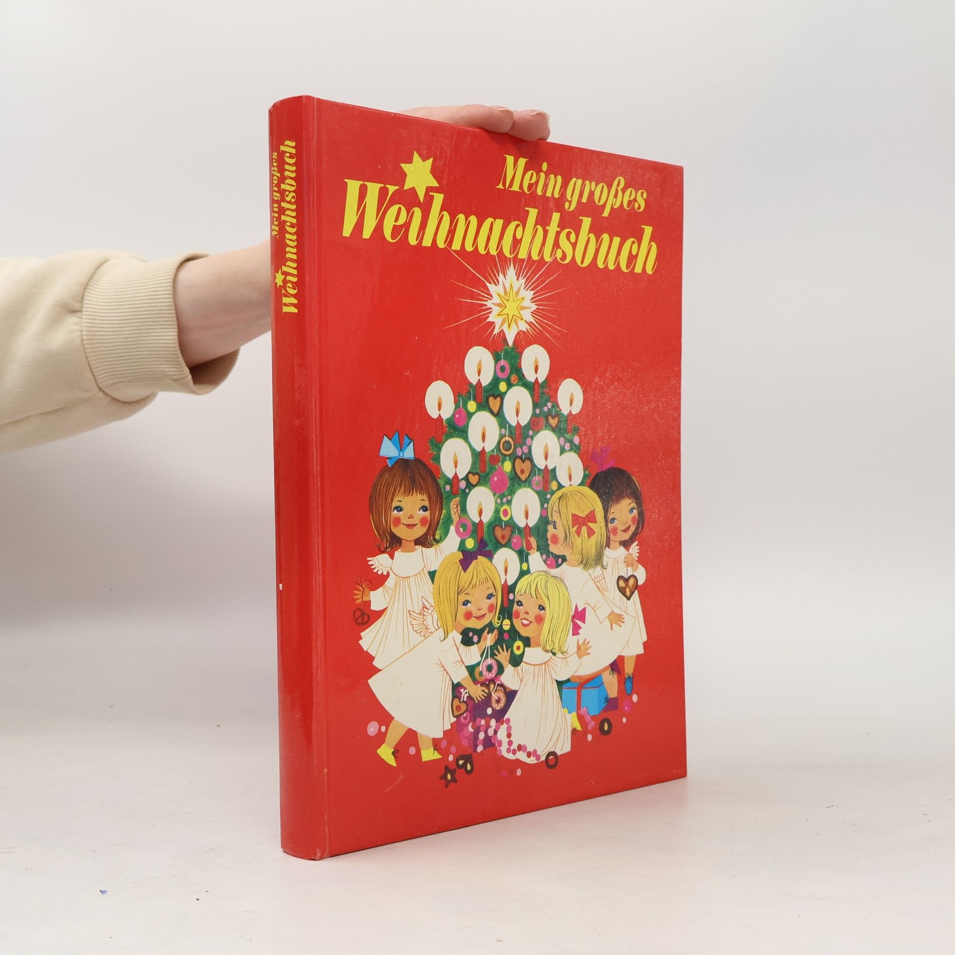 Autorenkollektiv Mein großes Weihnachtsbuch