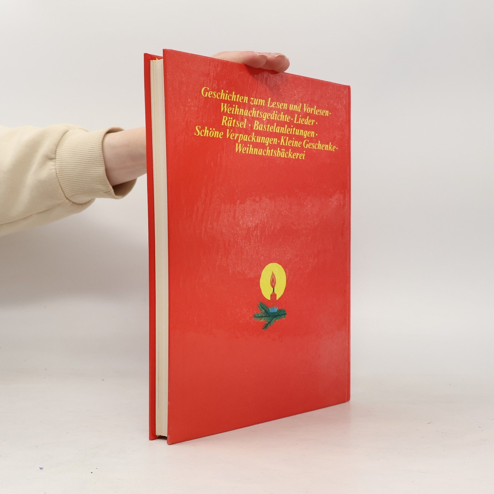 Autorenkollektiv Mein großes Weihnachtsbuch