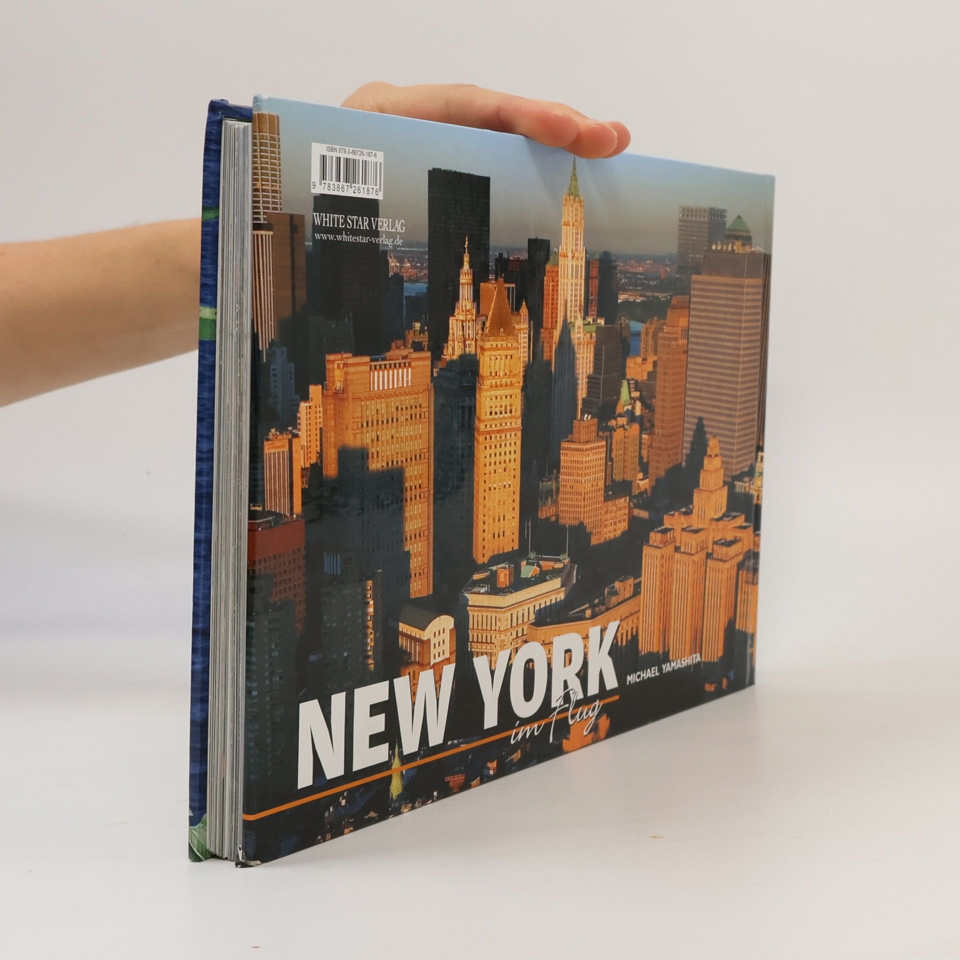 Michael Yamashita New York im Flug