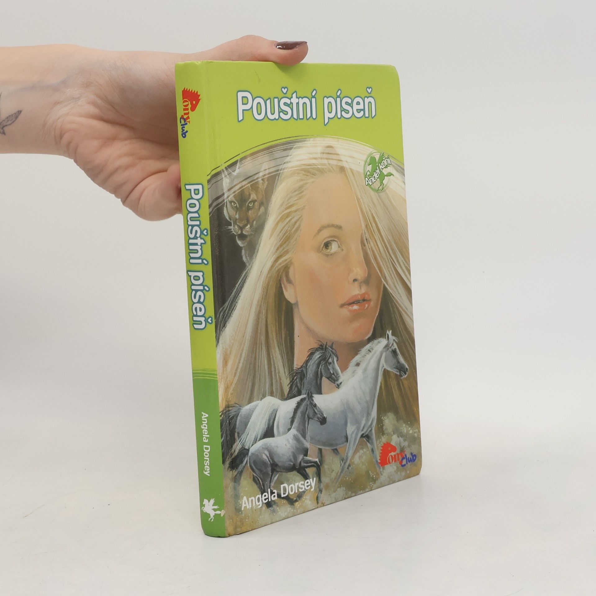 Pouštní píseň