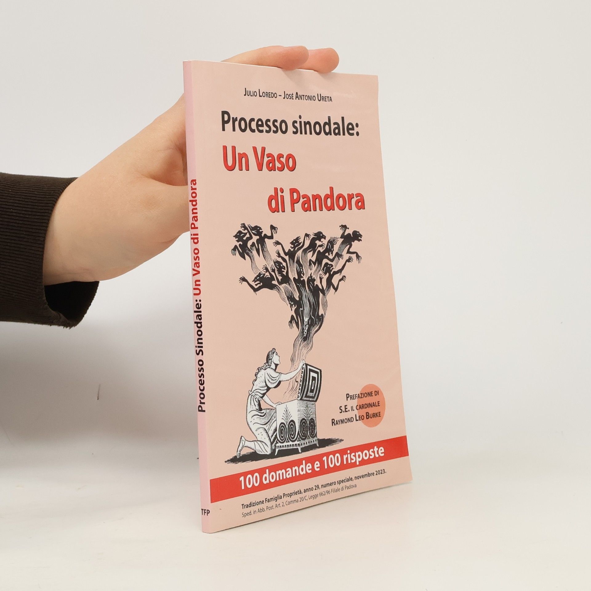 Julio Loredo Processo sinodale: Un Vaso di Pandora