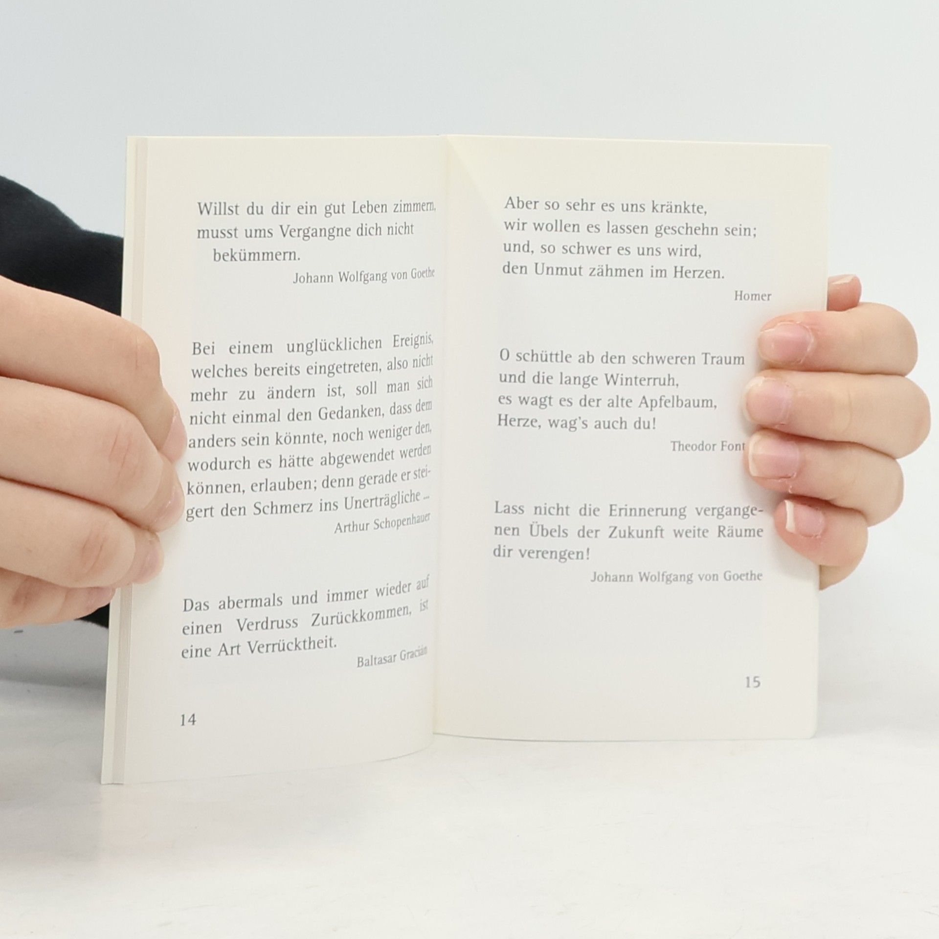 Kleine Perlen-Bibliothek: Zur Gelassenheit