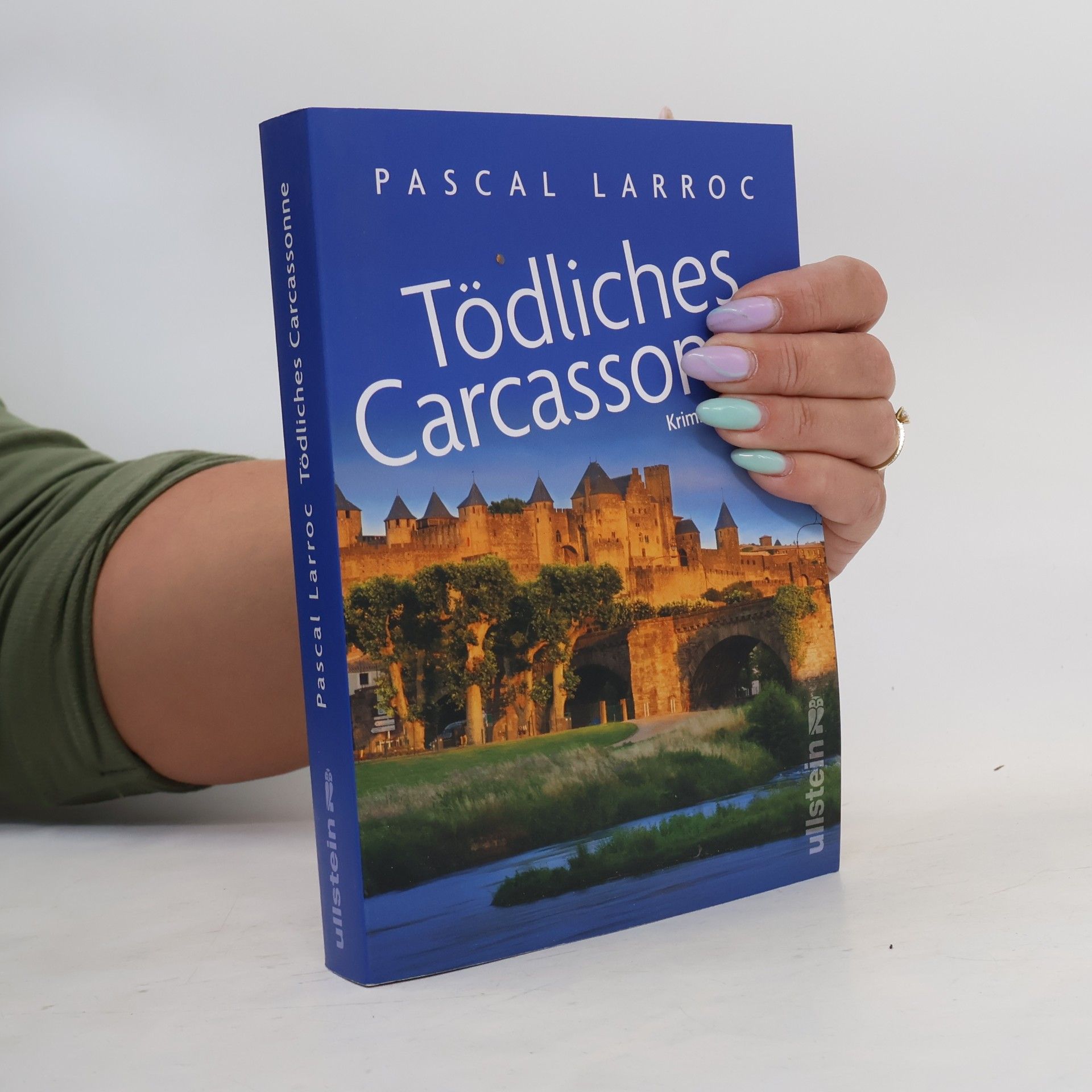 Pascal Larroc Tödliches Carcassonne