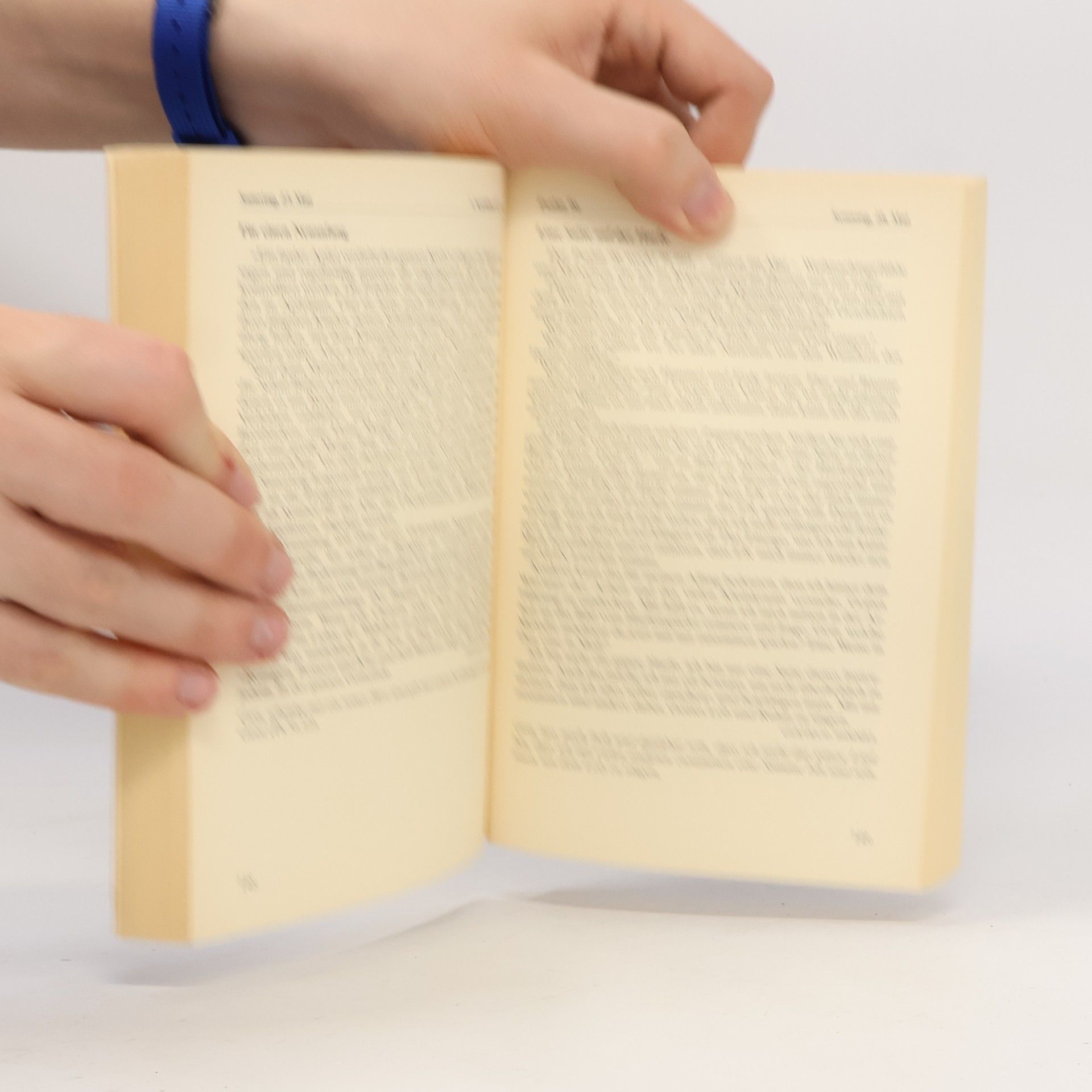Autorenkollektiv Mit der Bibel durch das Jahr 2000