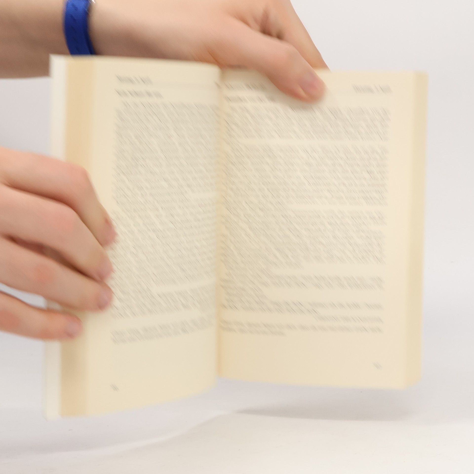 Maria Jepsen Mit der Bibel durch das Jahr 1998