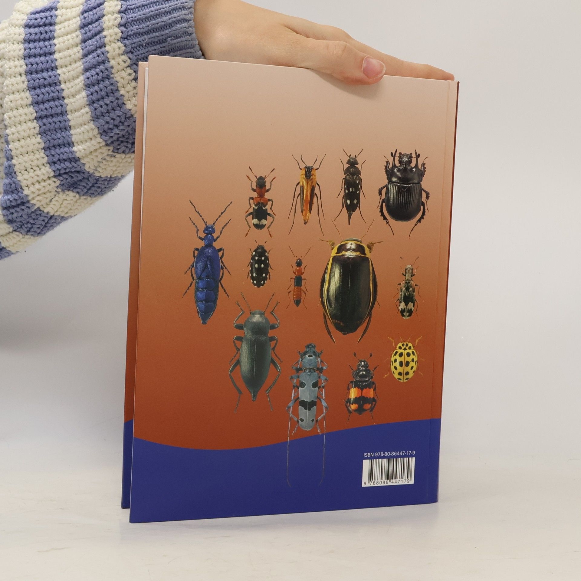 Karel Hůrka Brouci České a Slovenské republiky / Beetles of the Czech and Slovak Republics