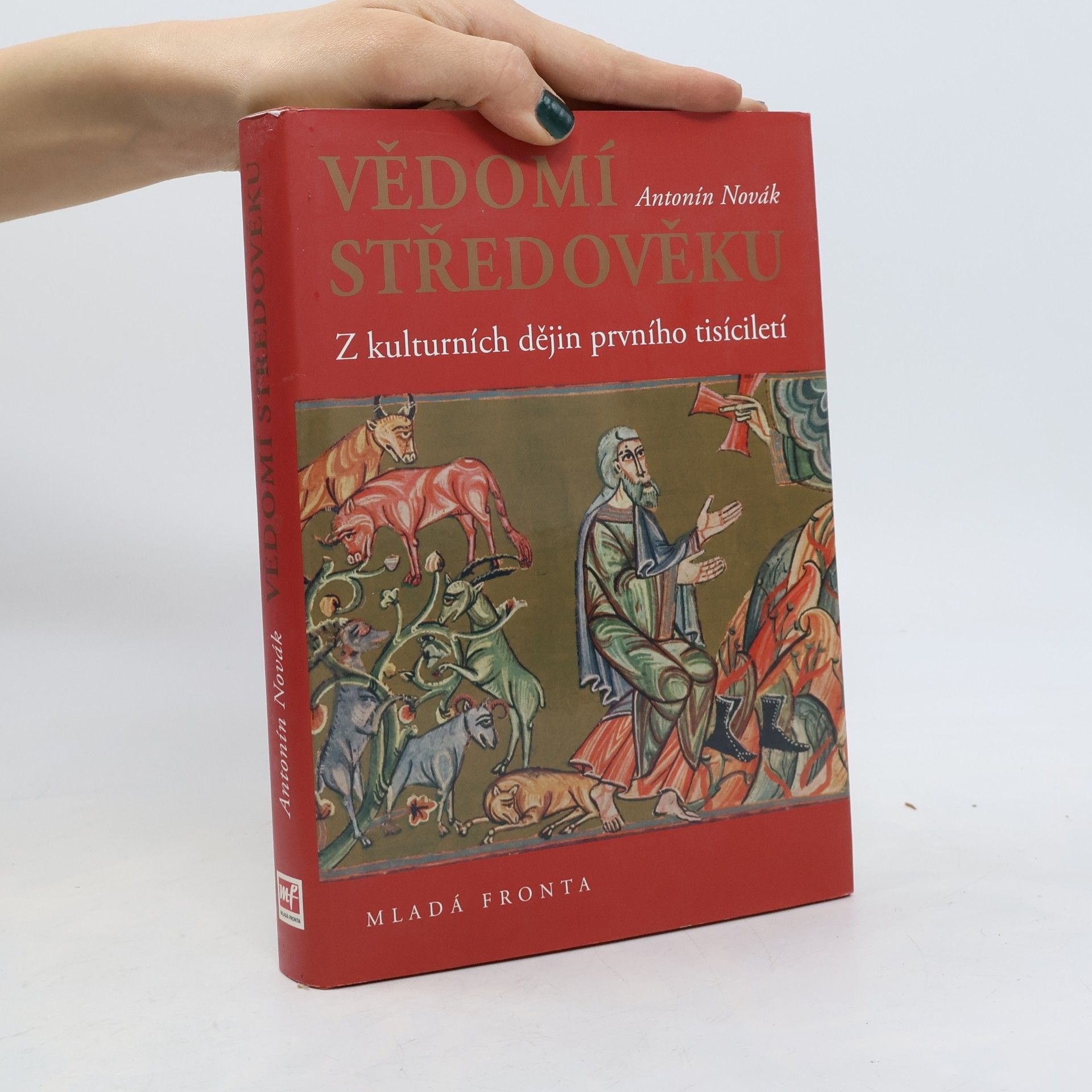 Vědomí středověku. Z kulturních dějin prvního tisíciletí