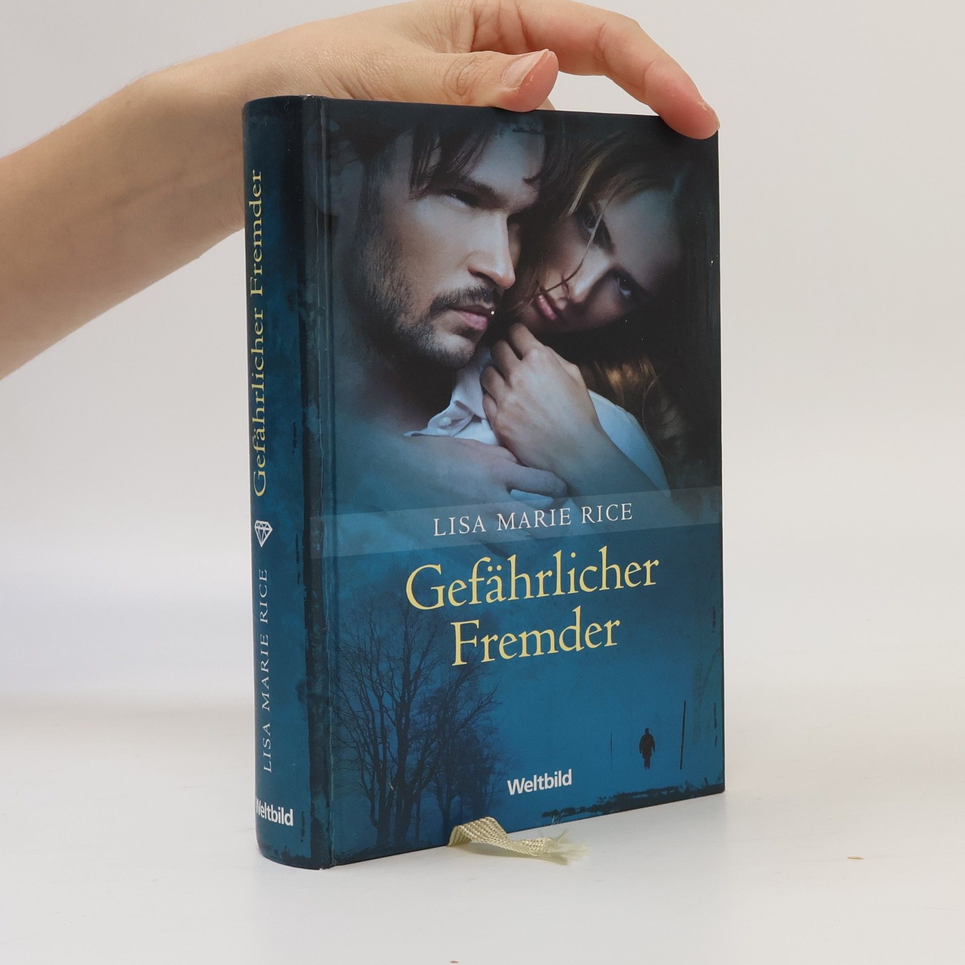 Lisa Marie Rice Gefährlicher Fremder