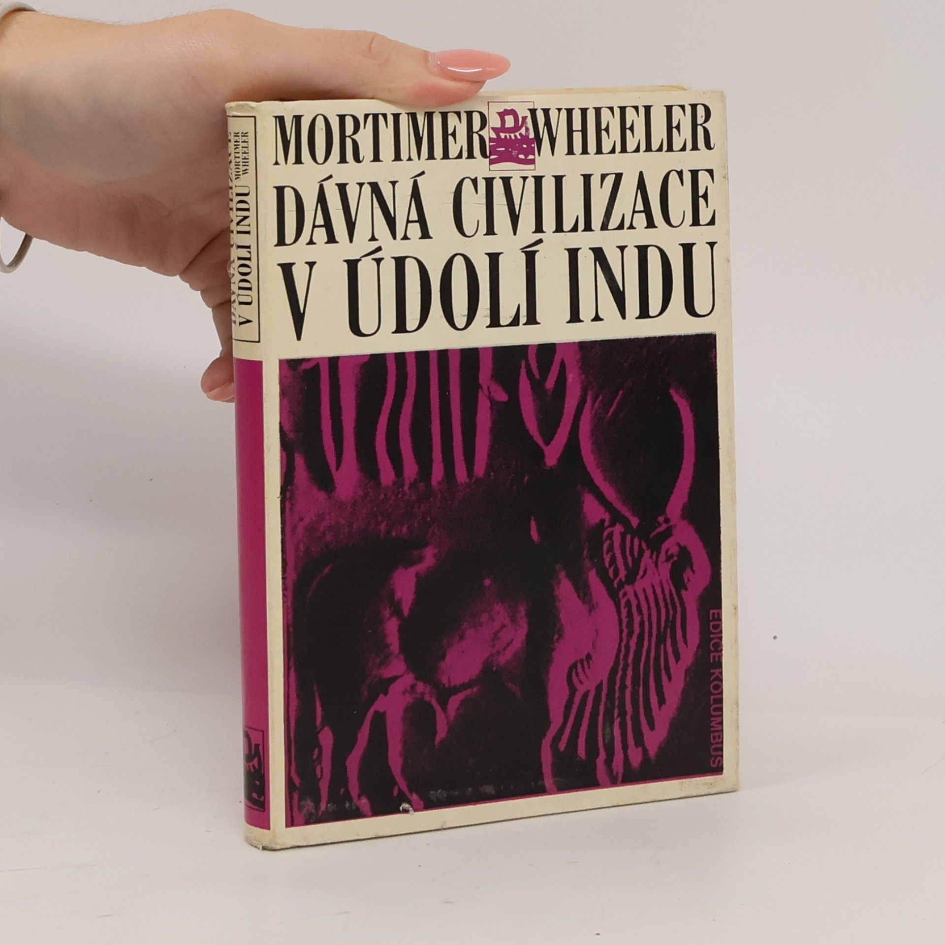 Dávná civilizace v údolí Indu