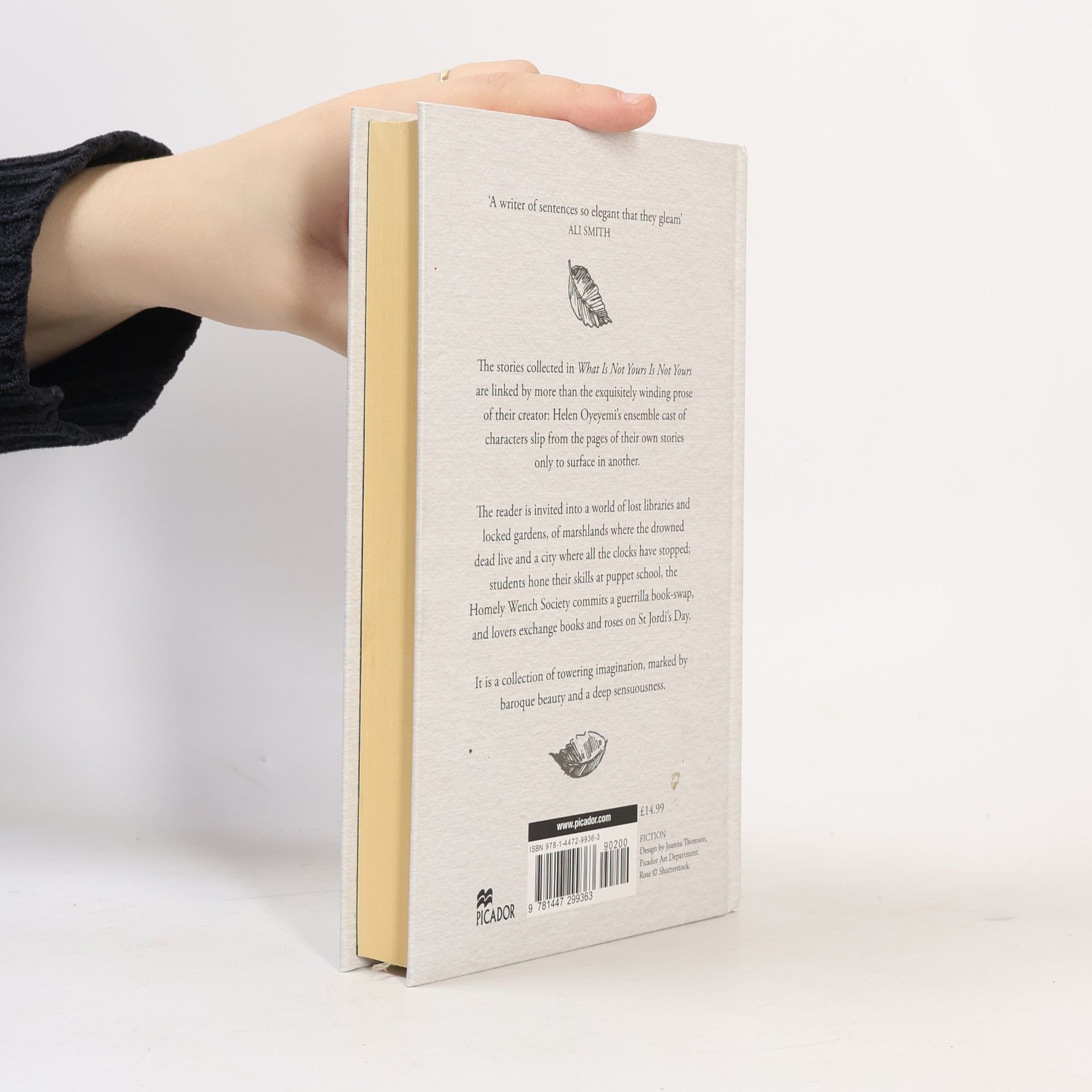 Helen Oyeyemi What Is Not Yours Is Not Yours