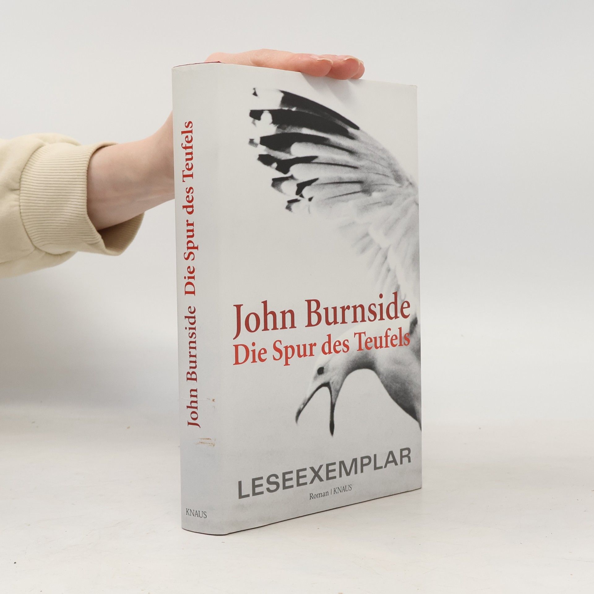 John Burnside Die Spur des Teufels