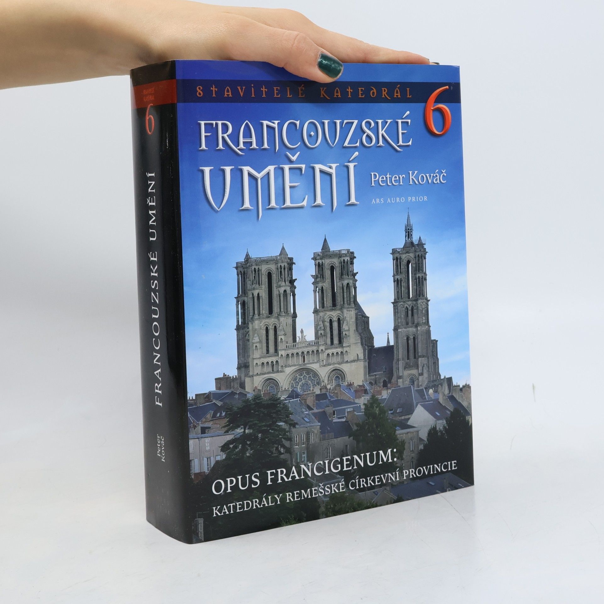 Collectif d'auteurs Francouzské umění 6