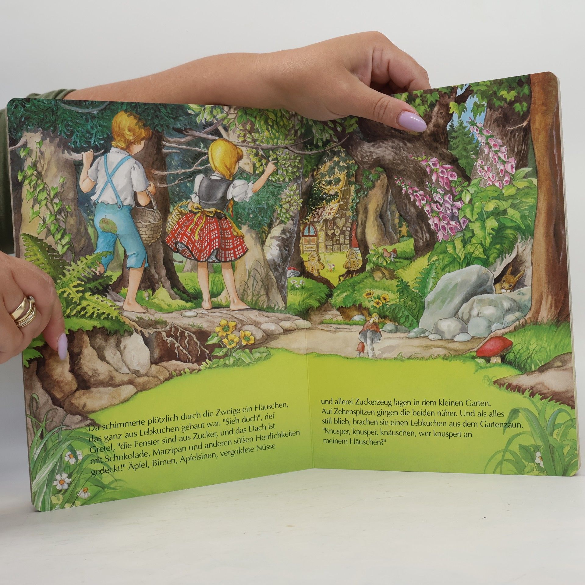 Anne Suess Hänsel und Gretel